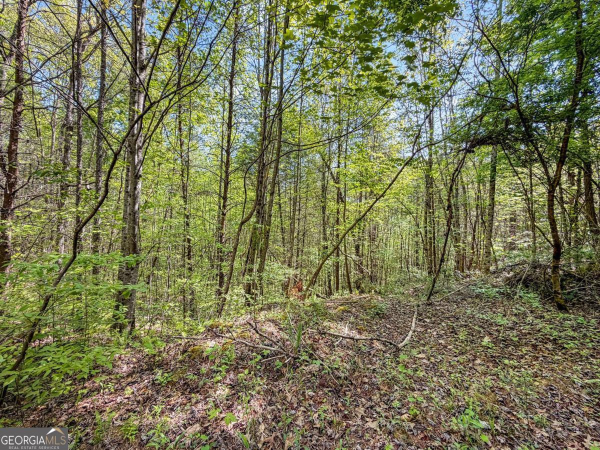 40 Ac #2 Valley Lake Road Property Photo 10