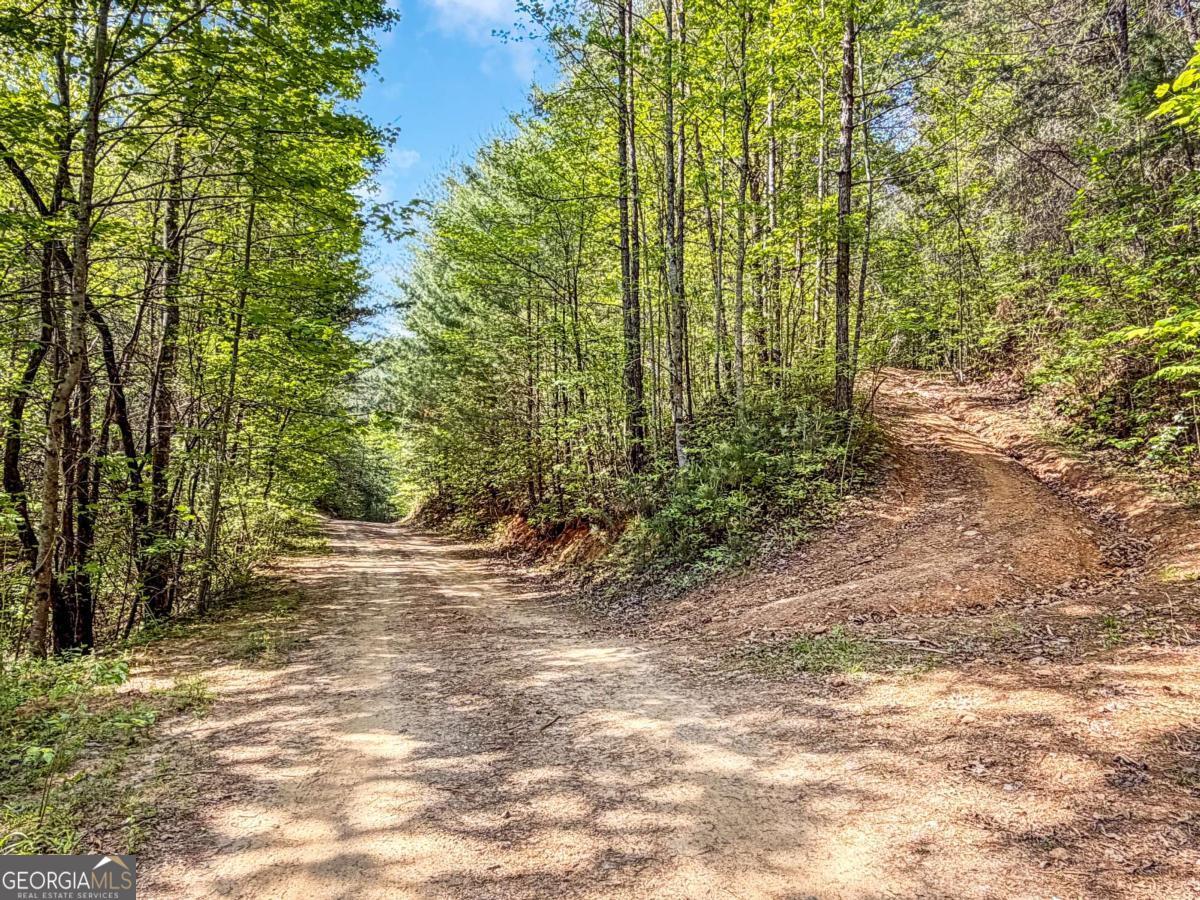40 Ac #2 Valley Lake Road Property Photo 13