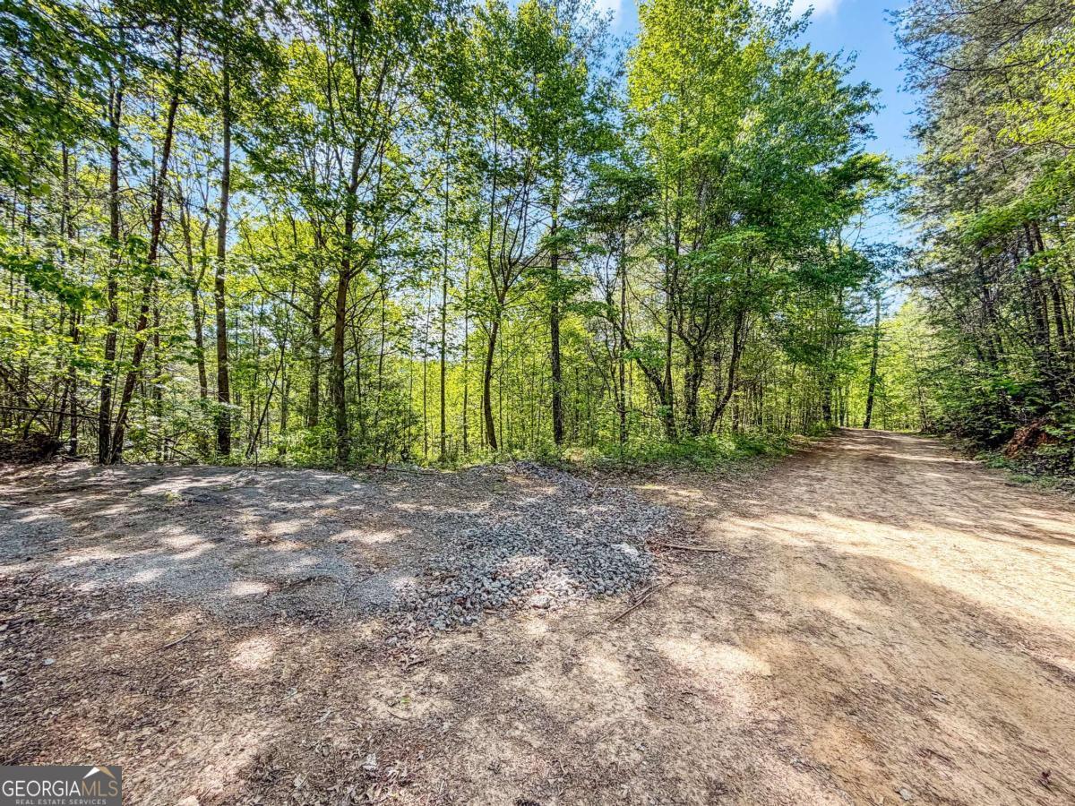 40 Ac #2 Valley Lake Road Property Photo 19