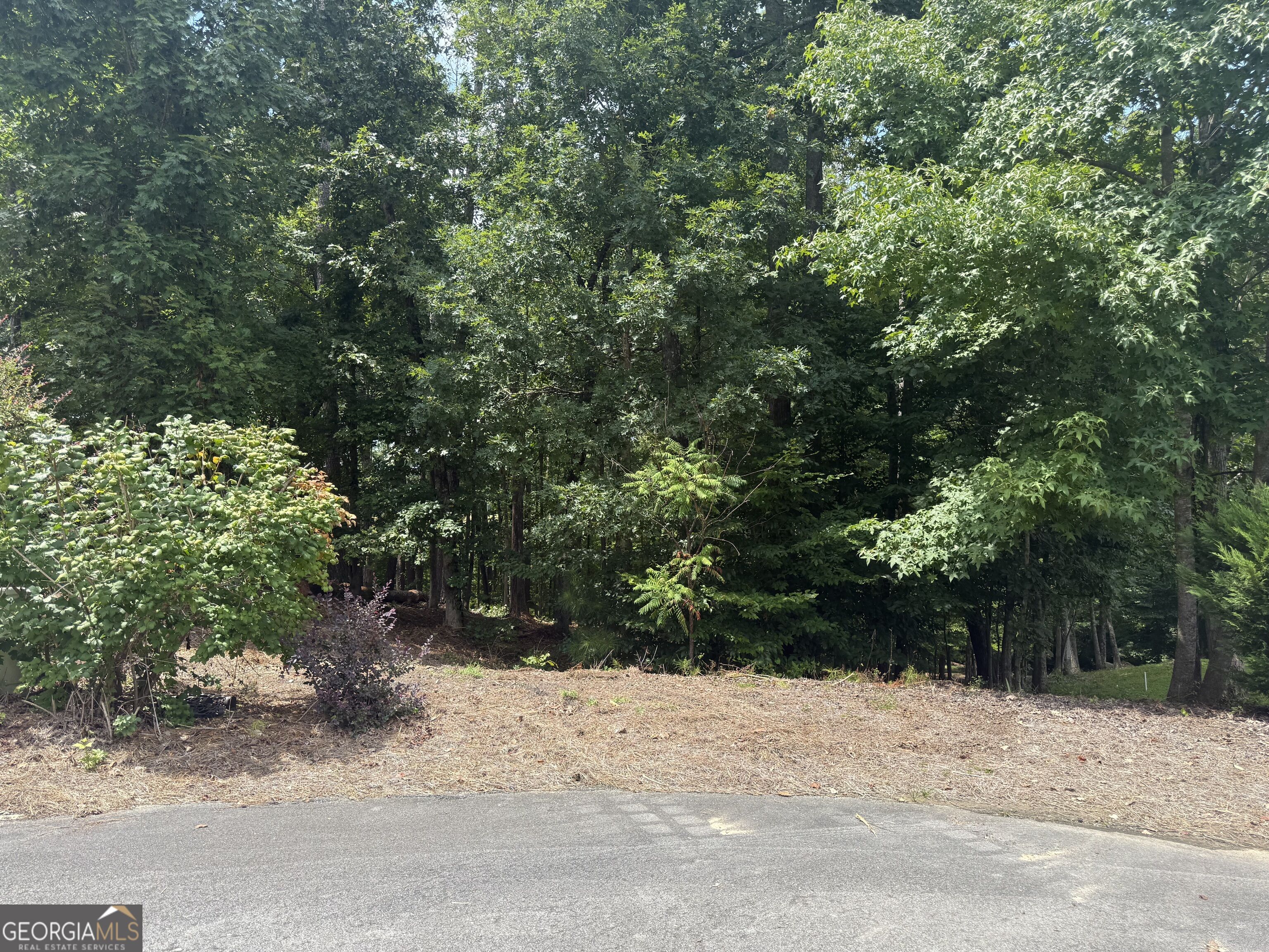 96 Battle Knoll Property Photo 1