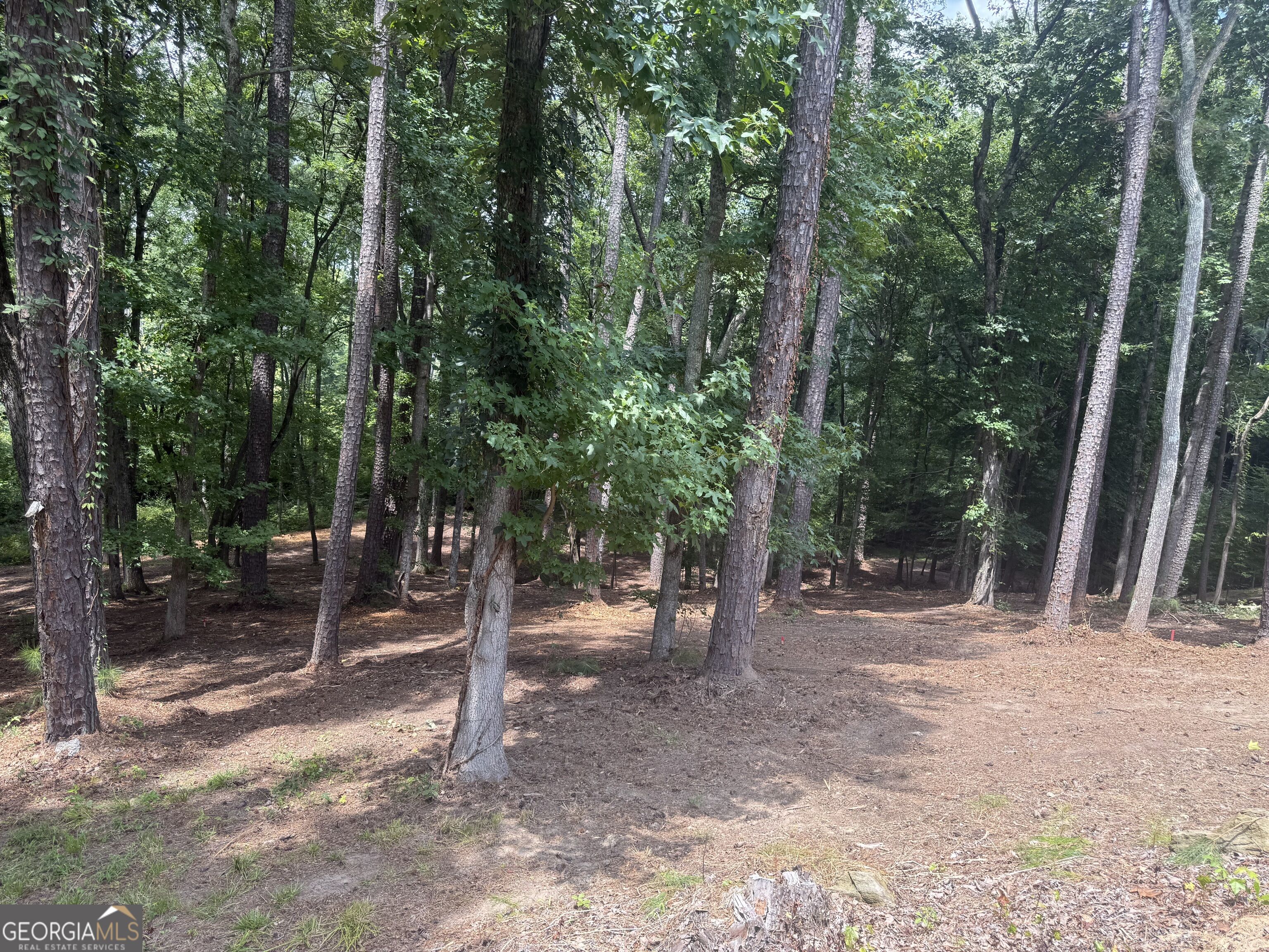 96 Battle Knoll Property Photo 2