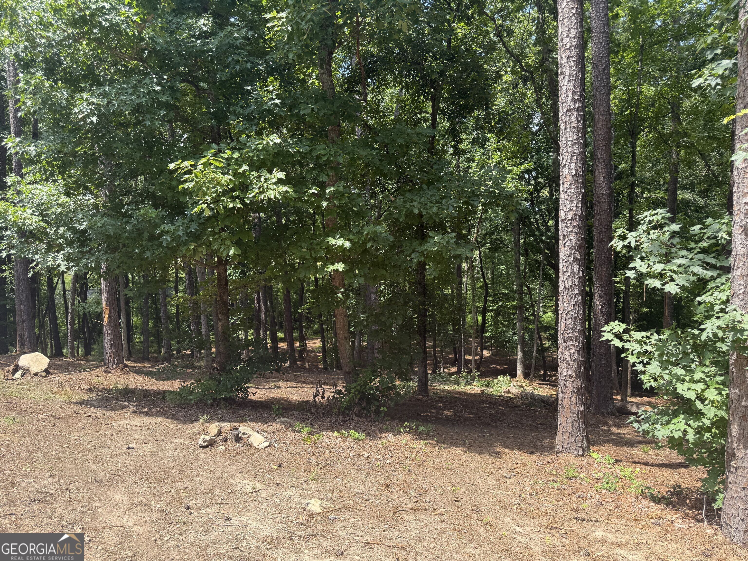 96 Battle Knoll Property Photo 3