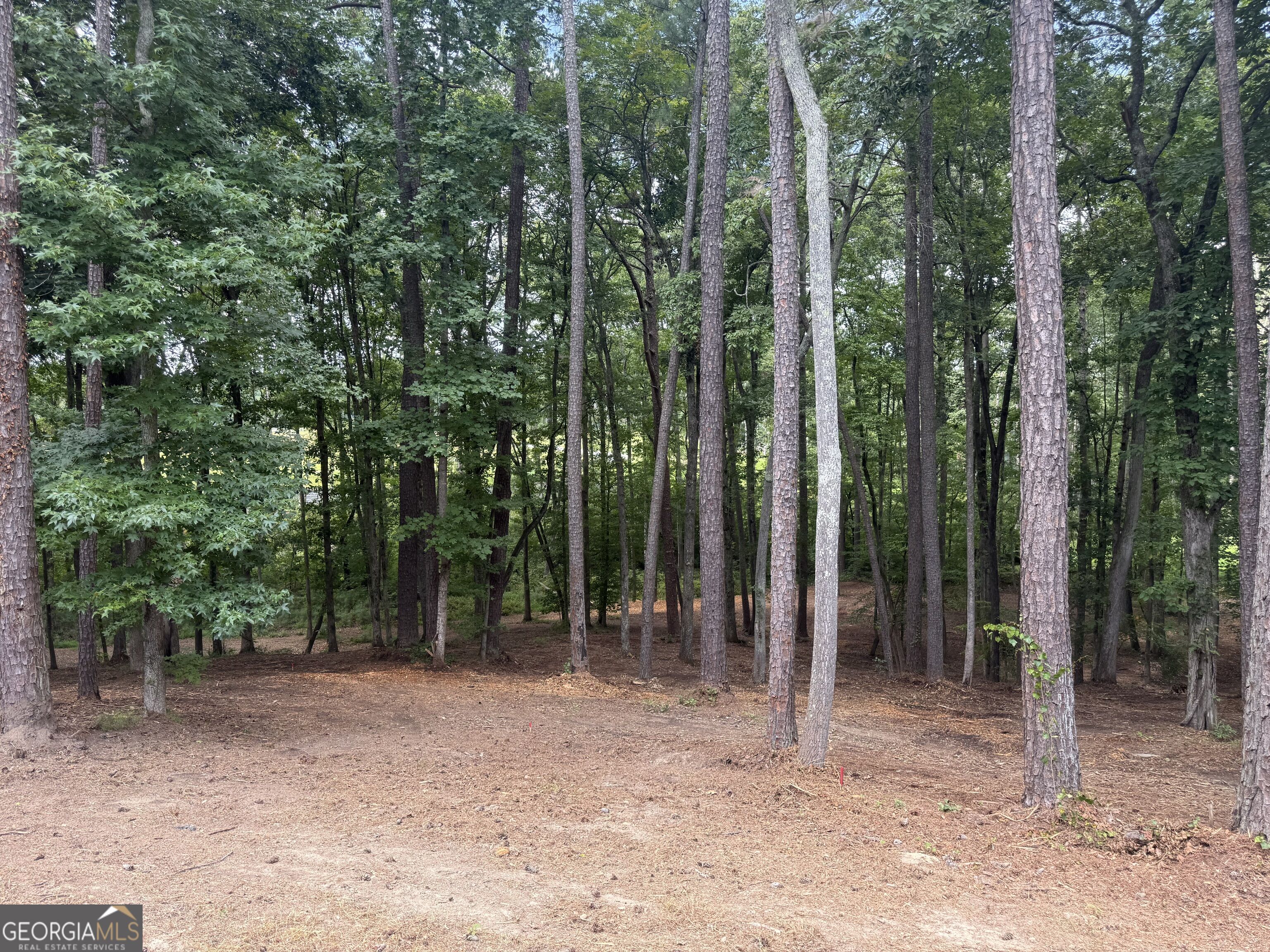 96 Battle Knoll Property Photo 4