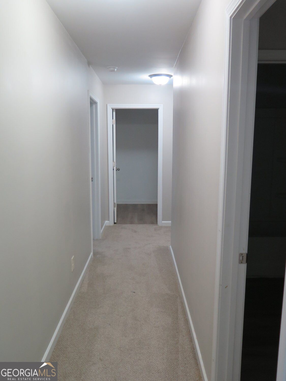 536 Wolf Pack Lane Property Photo 19