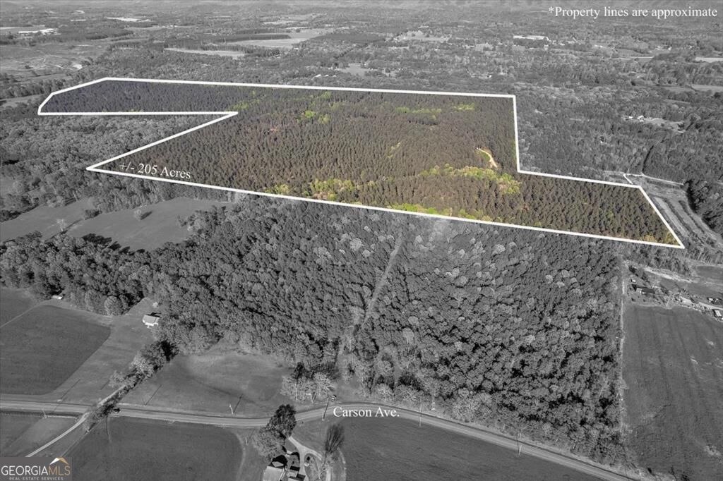 205+ Ac Maddron Road Property Photo 2