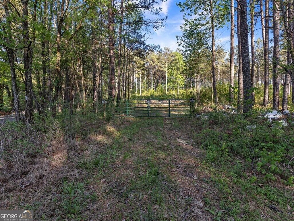 205+ Ac Maddron Road Property Photo 3