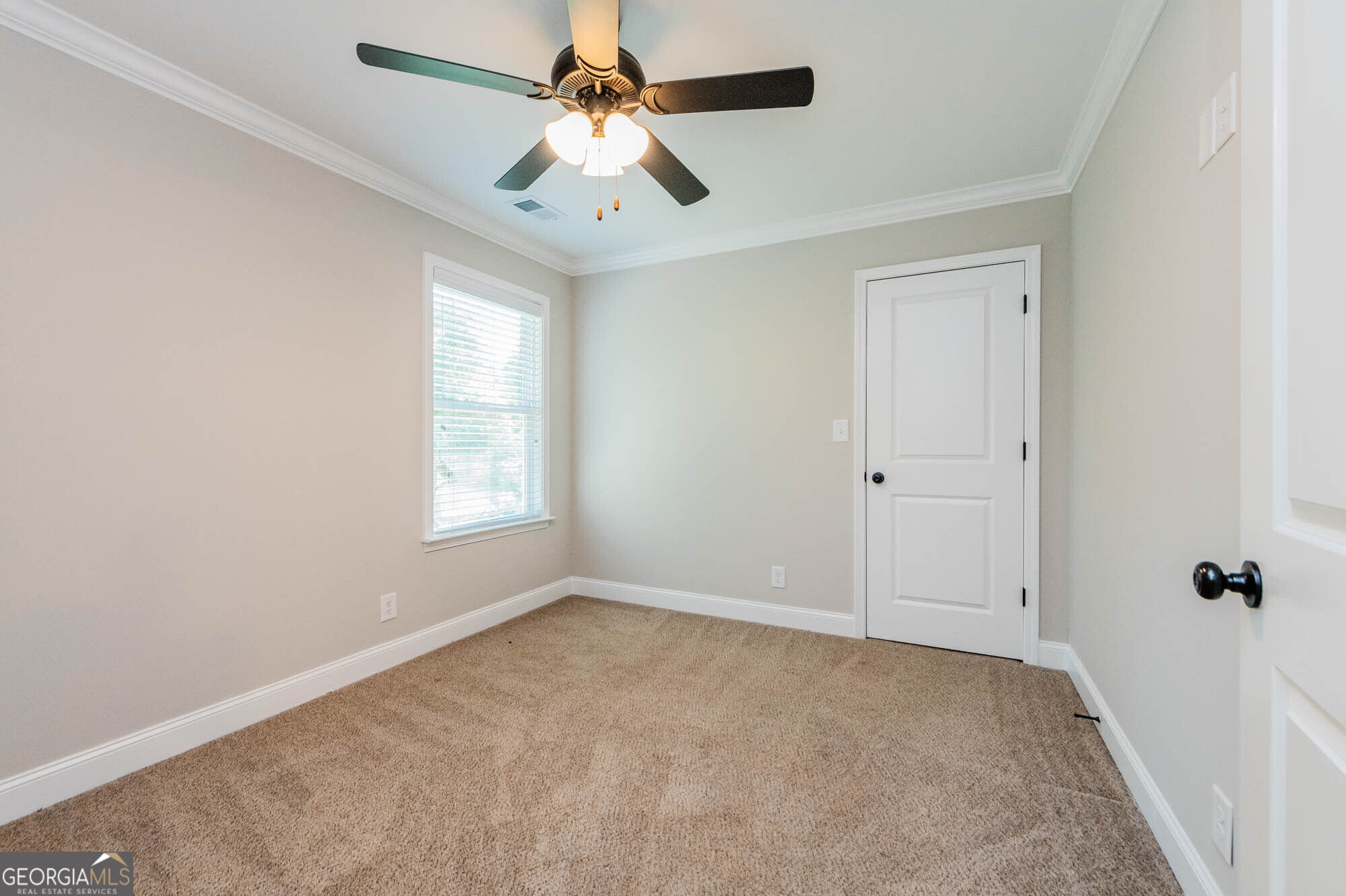 317 Willow Cove Court Property Photo 18