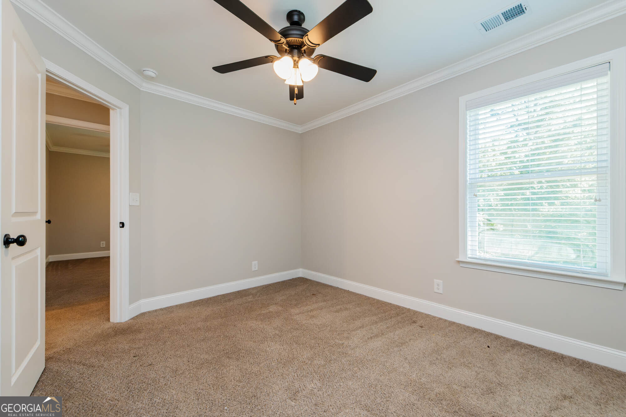 317 Willow Cove Court Property Photo 19