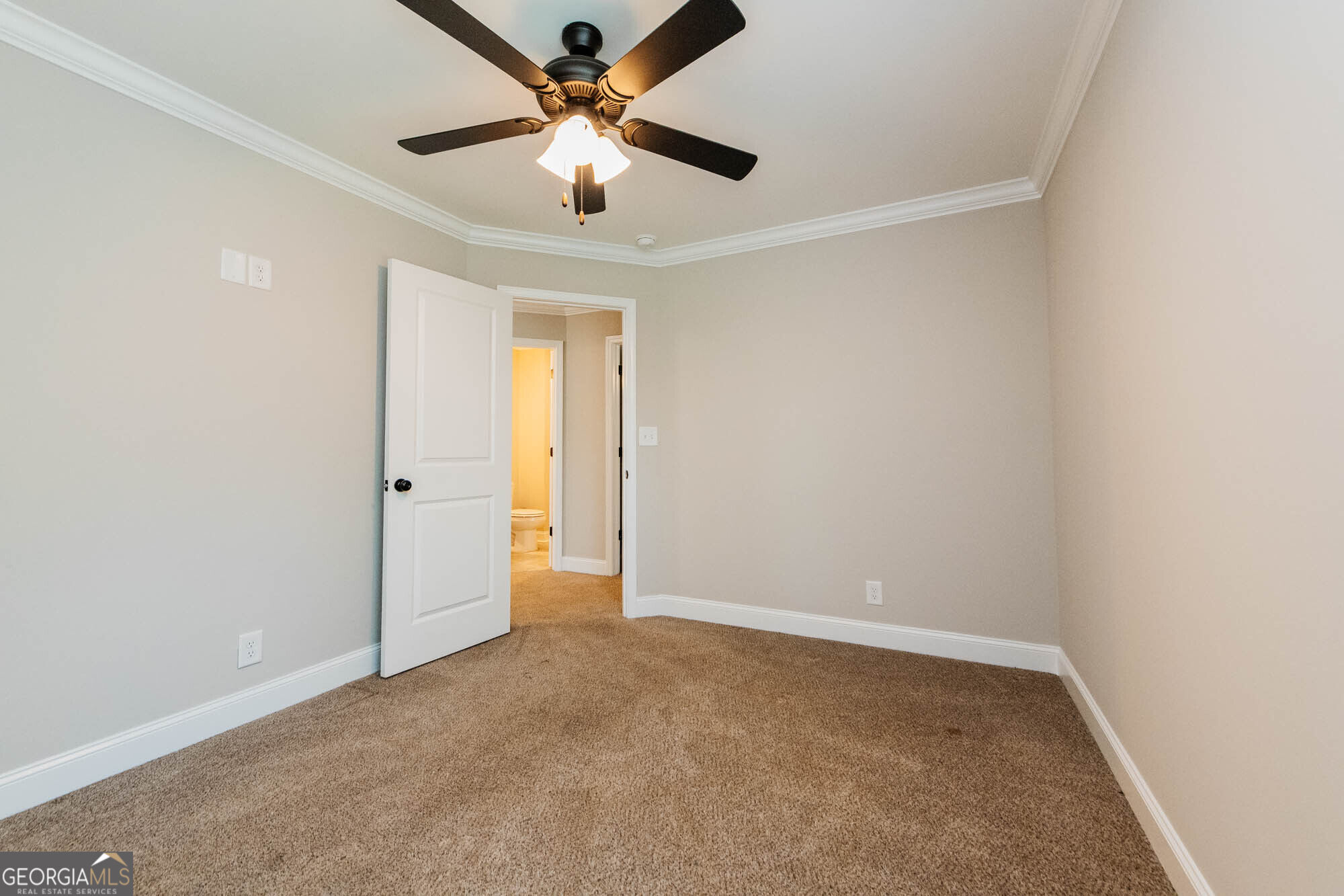 317 Willow Cove Court Property Photo 20
