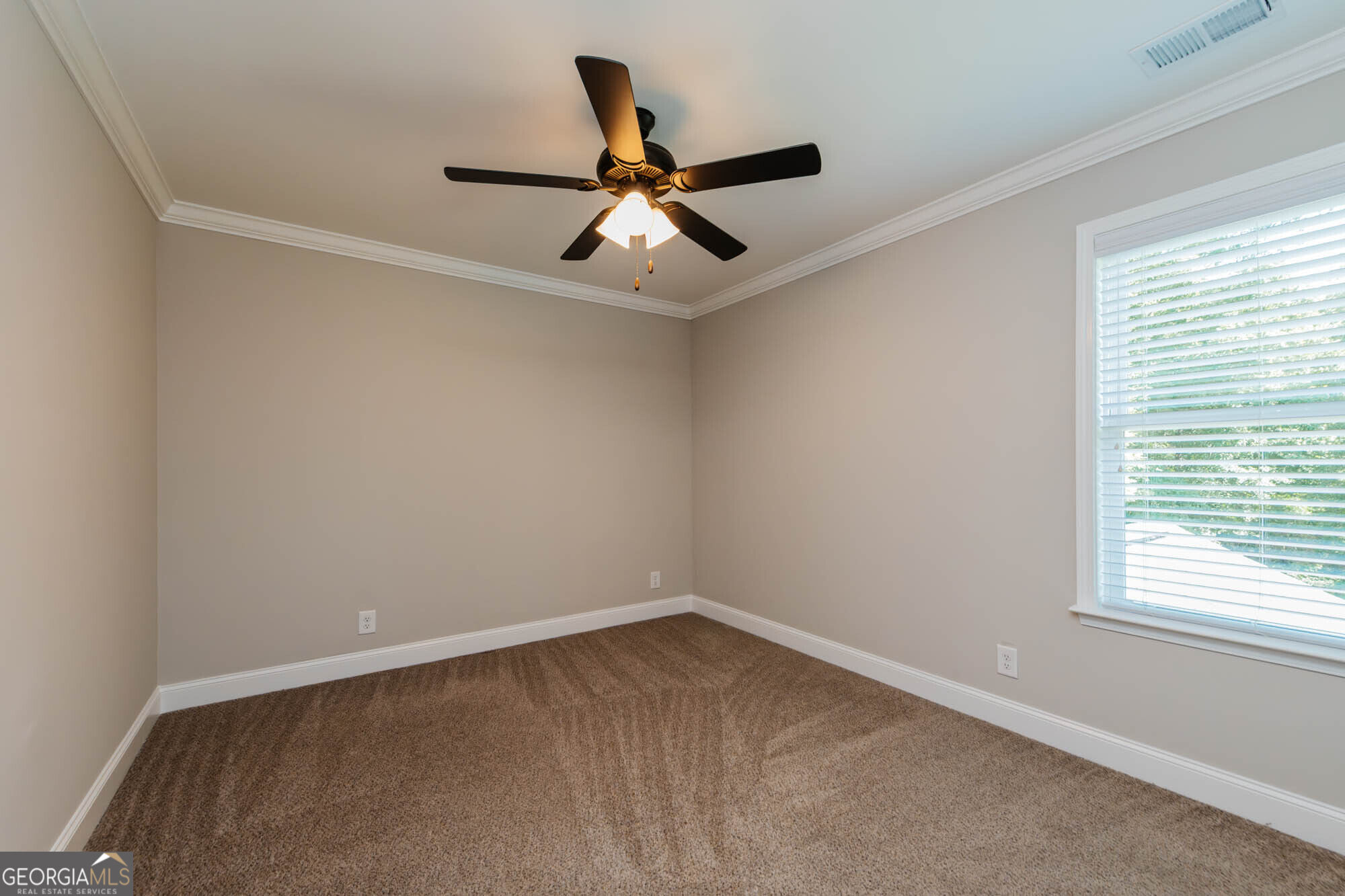 317 Willow Cove Court Property Photo 21