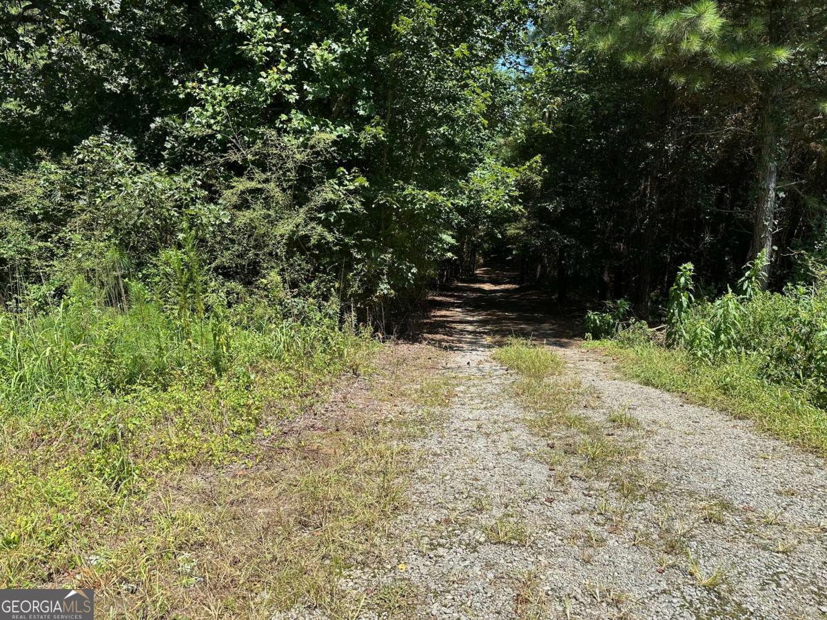 305 Wildcat Road Property Photo 1