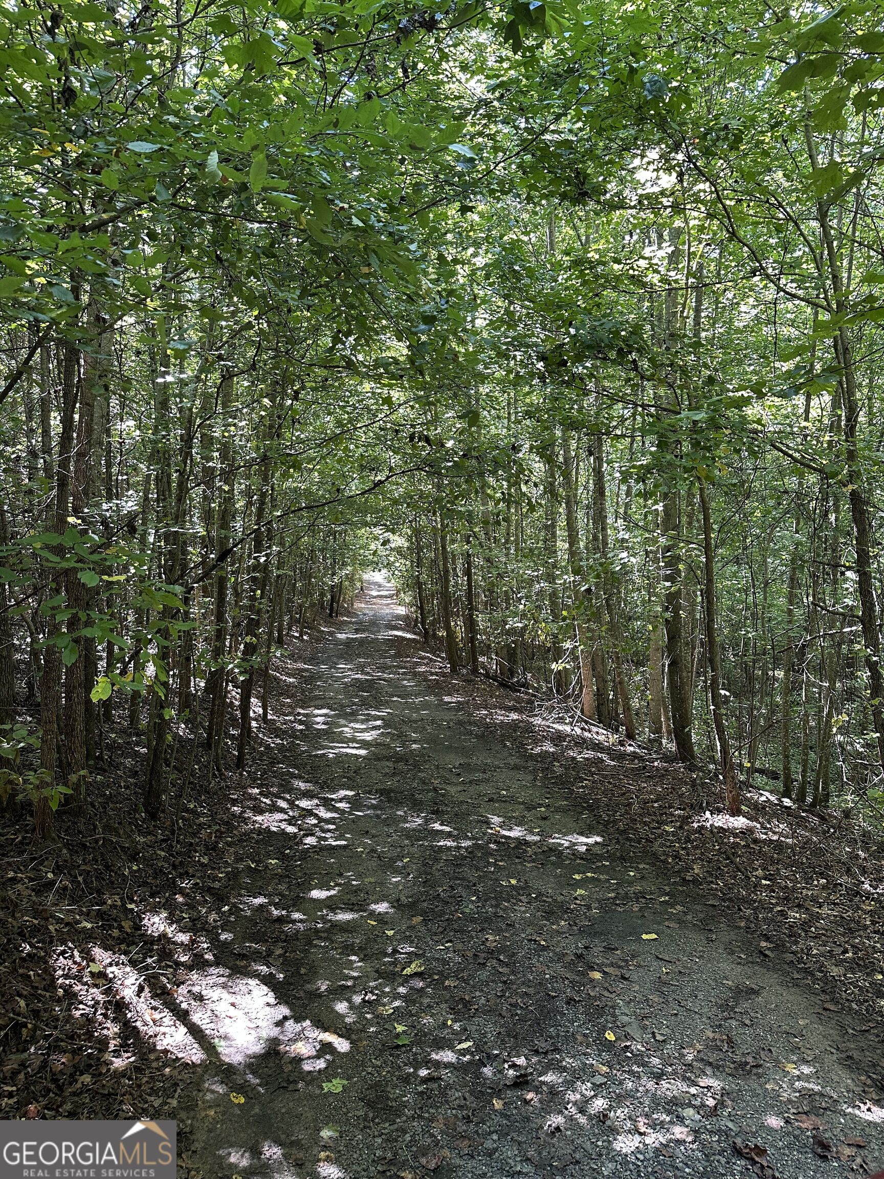 305 Wildcat Road Property Photo 2