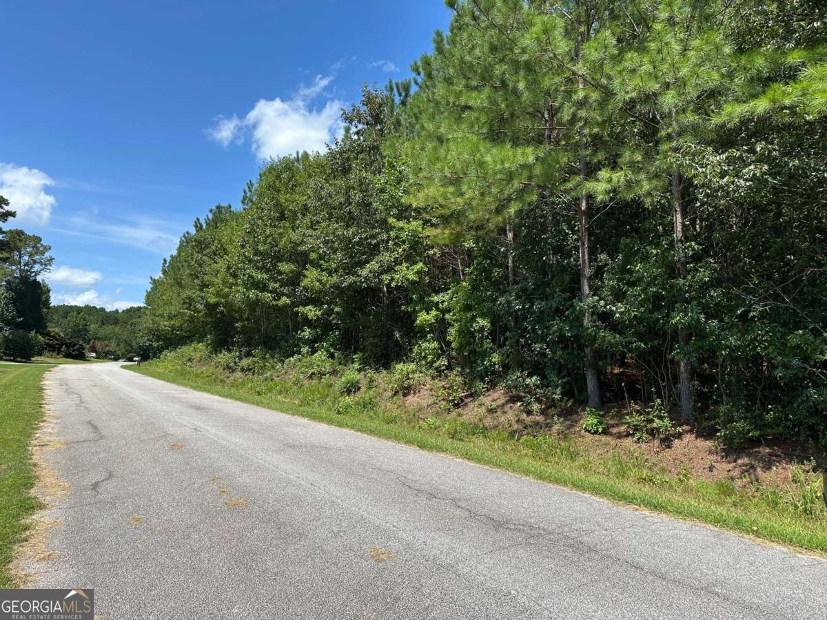 305 Wildcat Road Property Photo 3