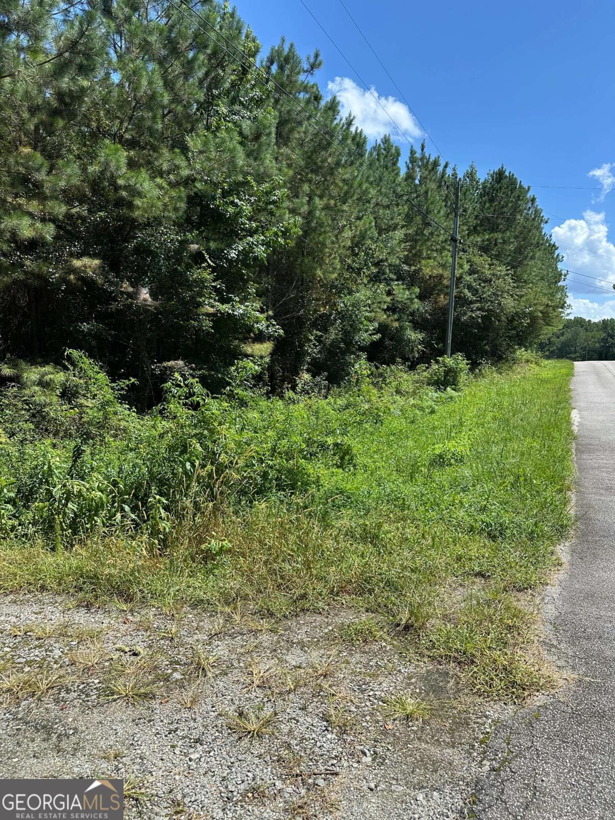 305 Wildcat Road Property Photo 4