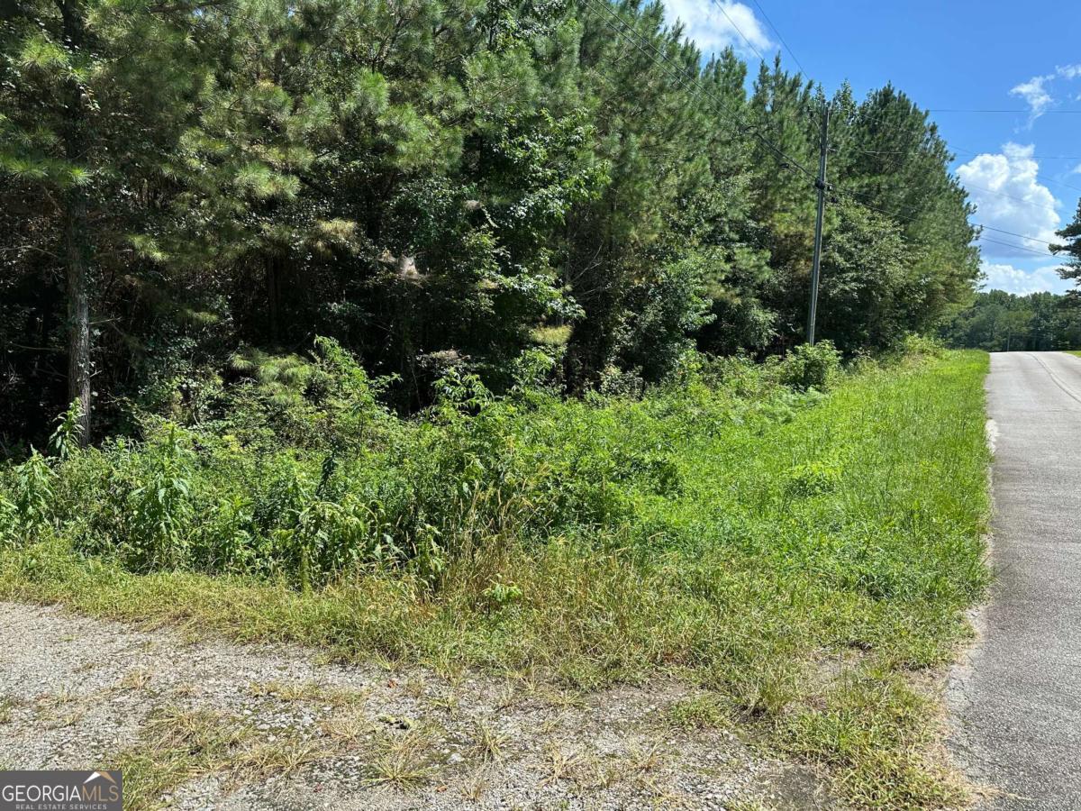 305 Wildcat Road Property Photo 5