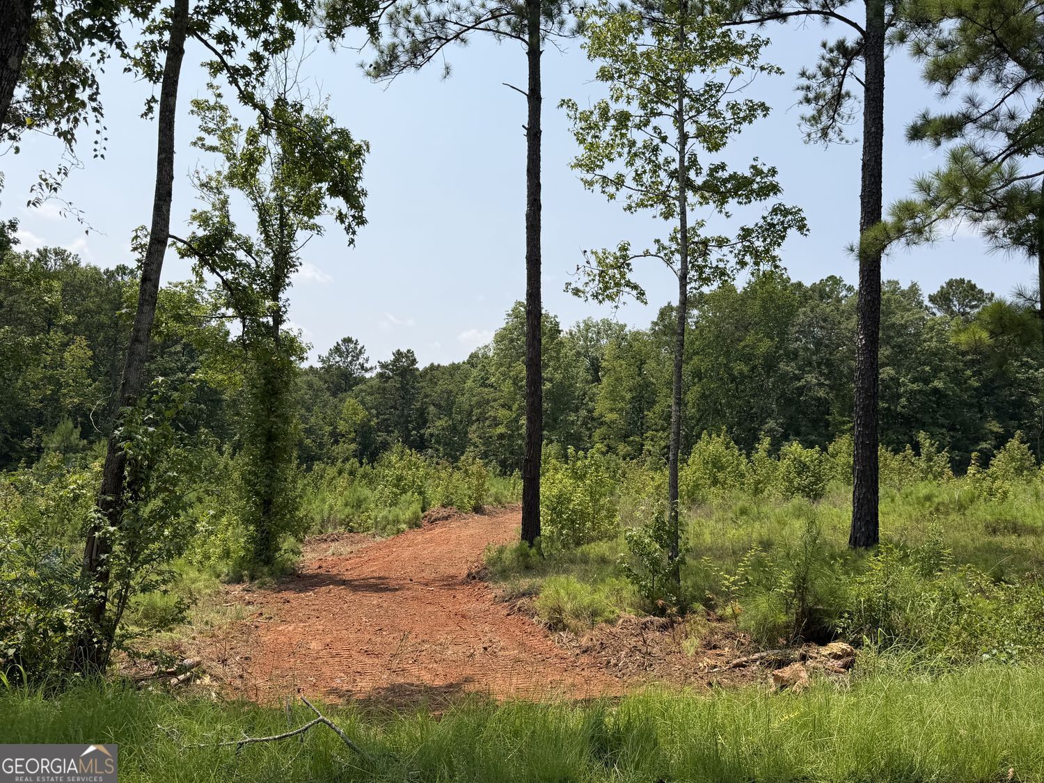 1144 Giles Road Property Photo 3