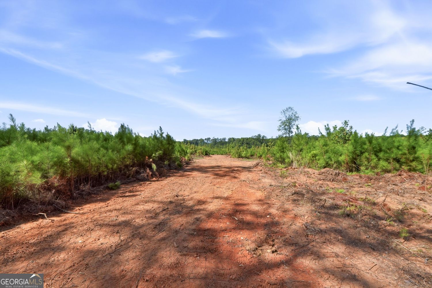 1144 Giles Road Property Photo 24