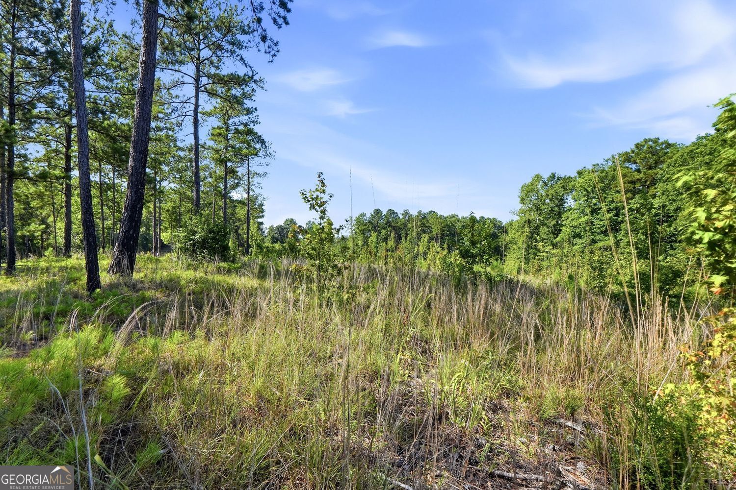 1136 Giles Road Property Photo 15