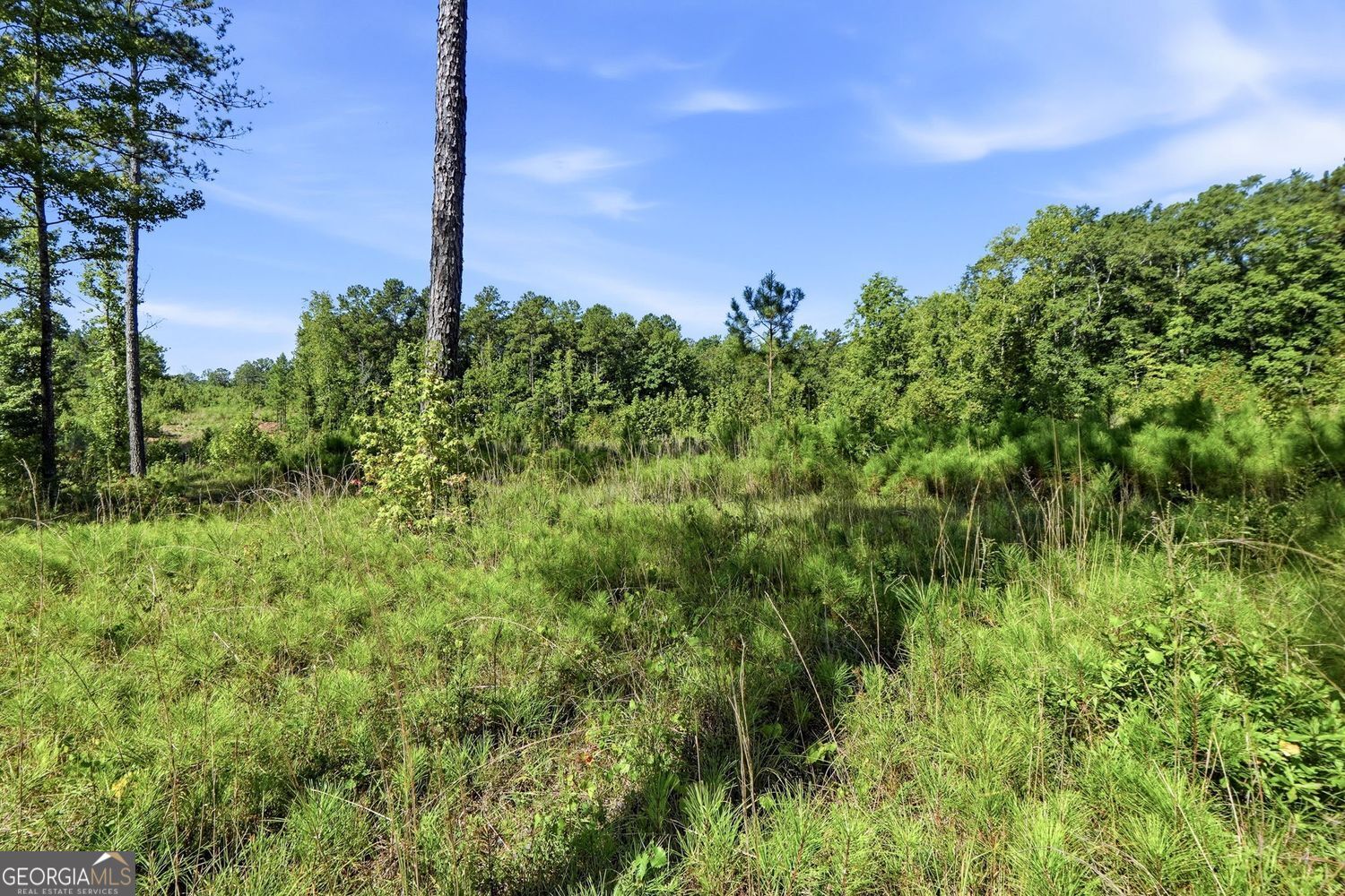 1136 Giles Road Property Photo 17