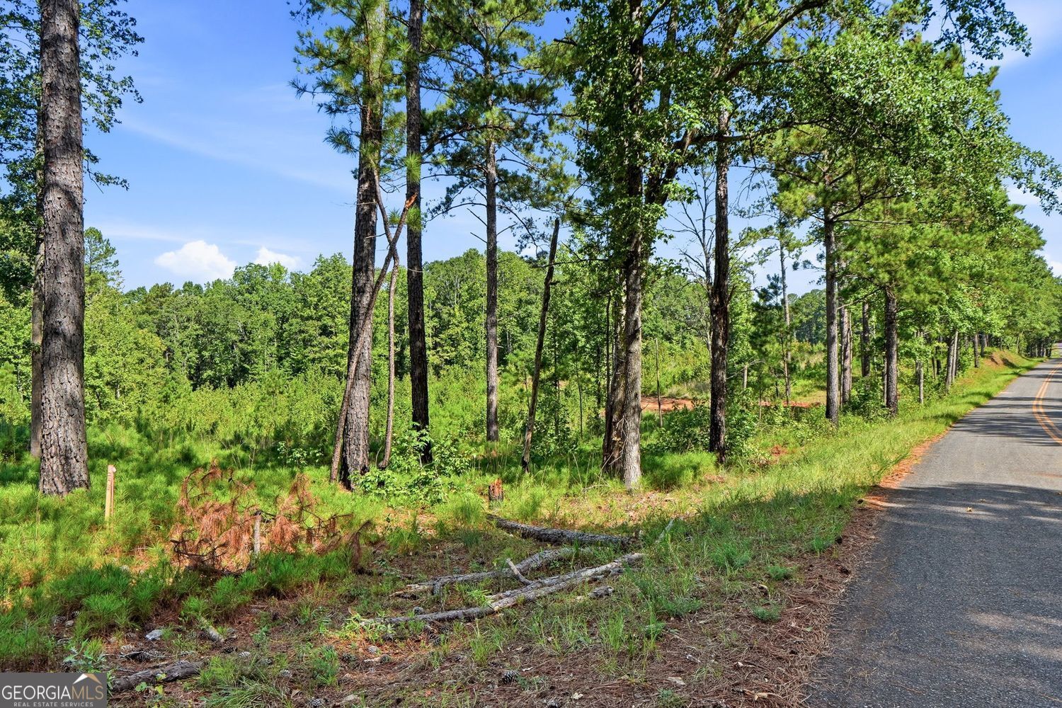 1136 Giles Road Property Photo 18