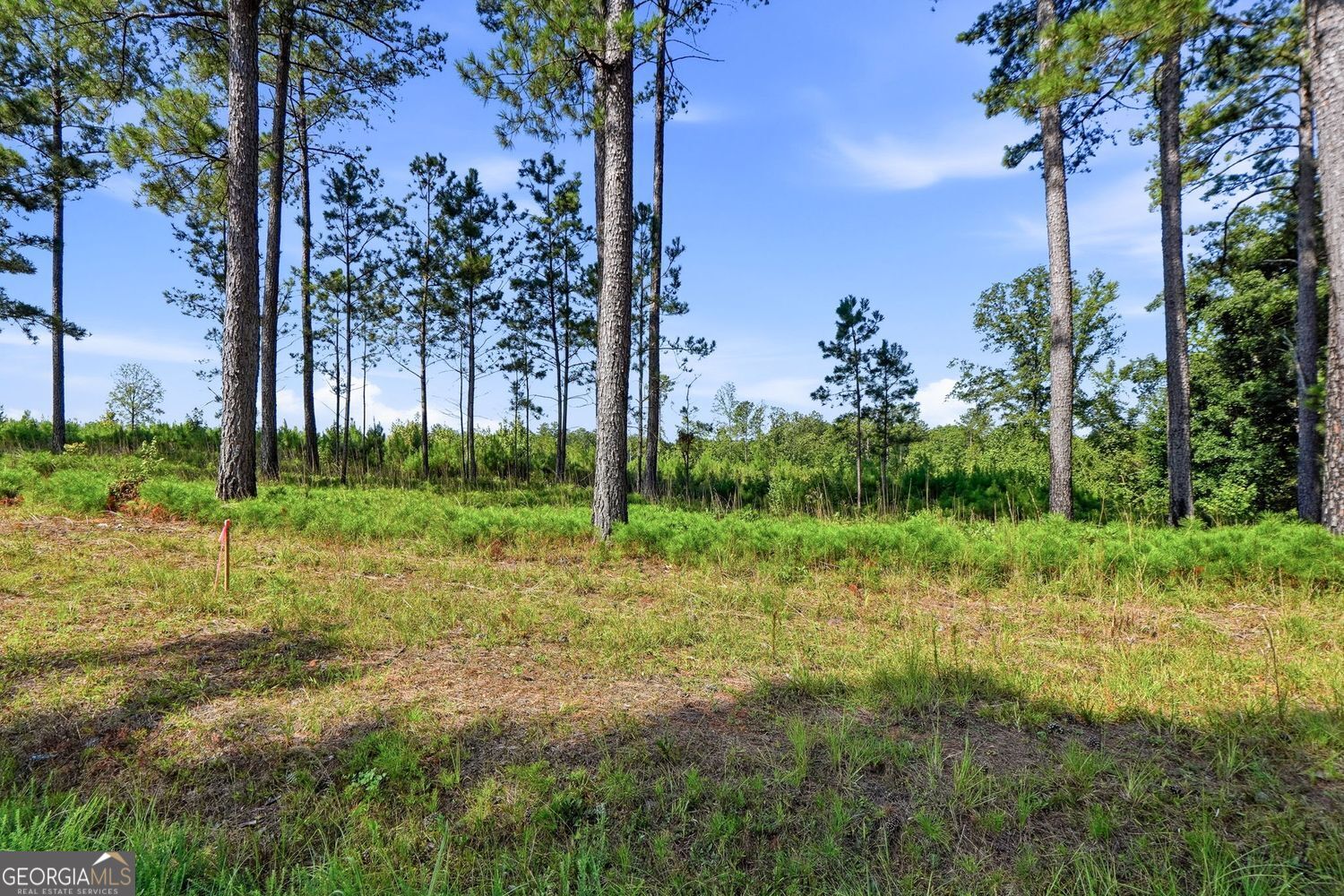 1136 Giles Road Property Photo 20