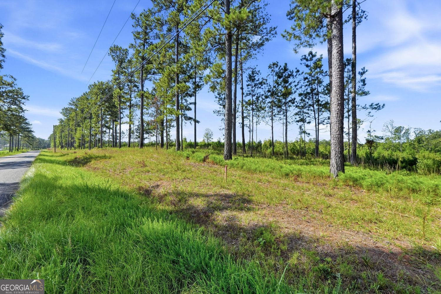 1136 Giles Road Property Photo 21