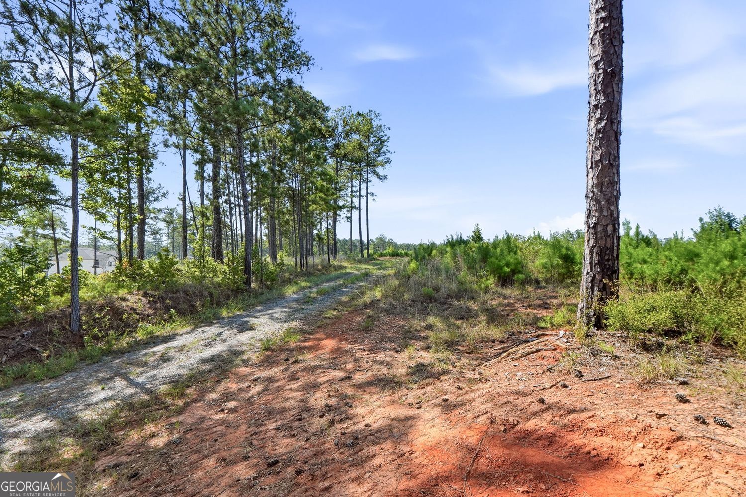 1136 Giles Road Property Photo 25