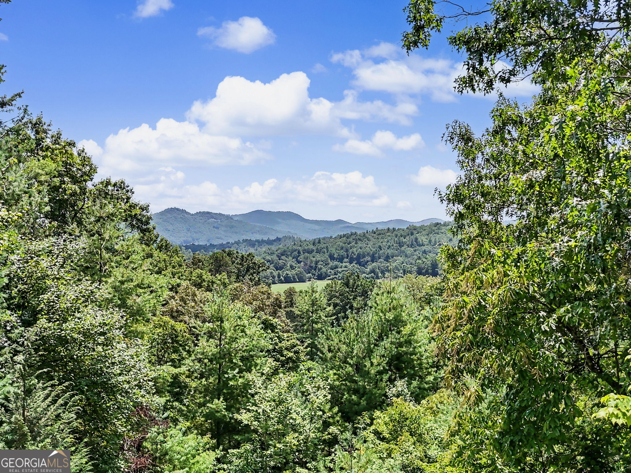 171 Bell Colony Road Property Photo 9