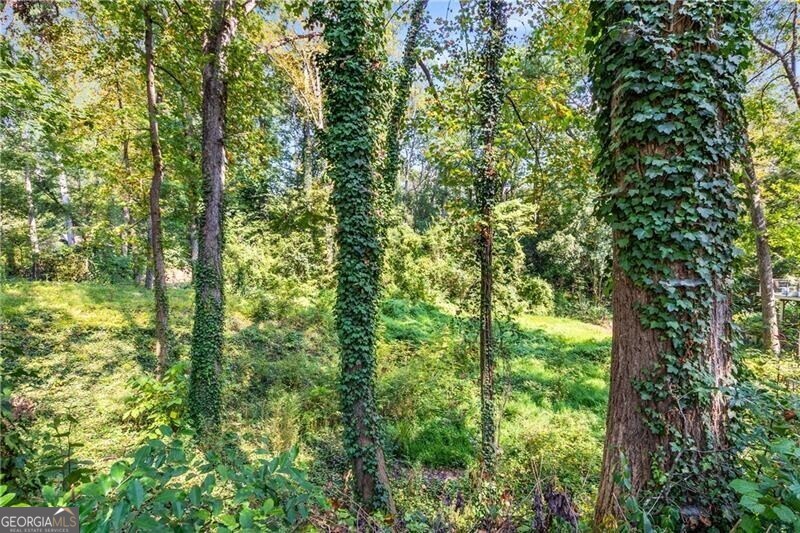 519 Durand Drive Ne Property Photo 6