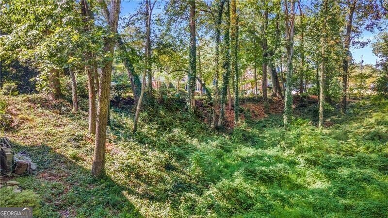 519 Durand Drive Ne Property Photo 14