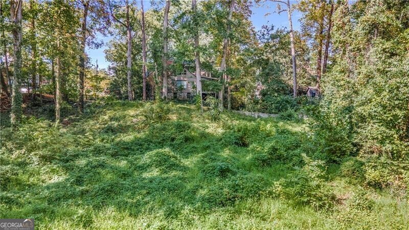 519 Durand Drive Ne Property Photo 15