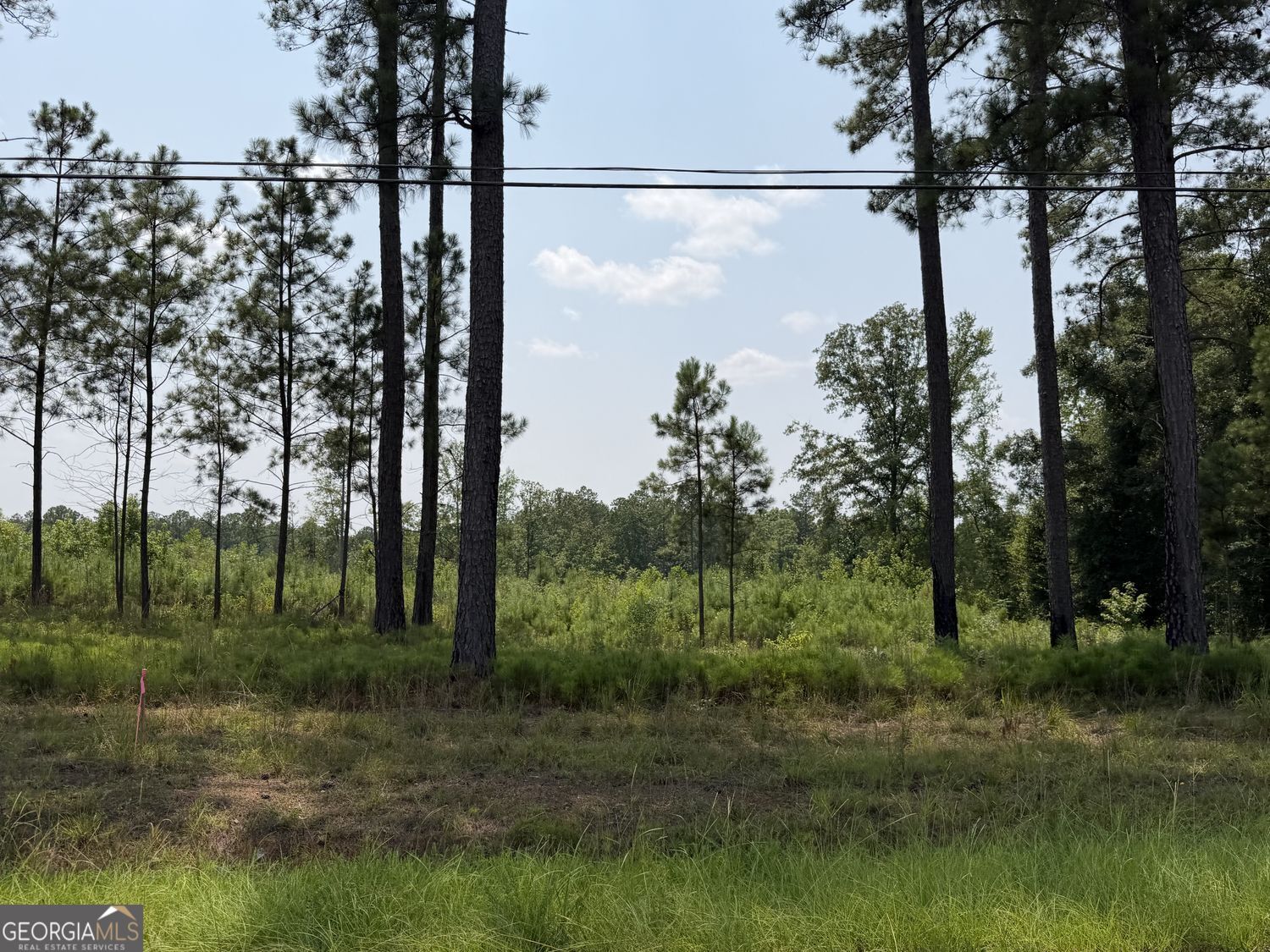 696 Giles Road Property Photo 1