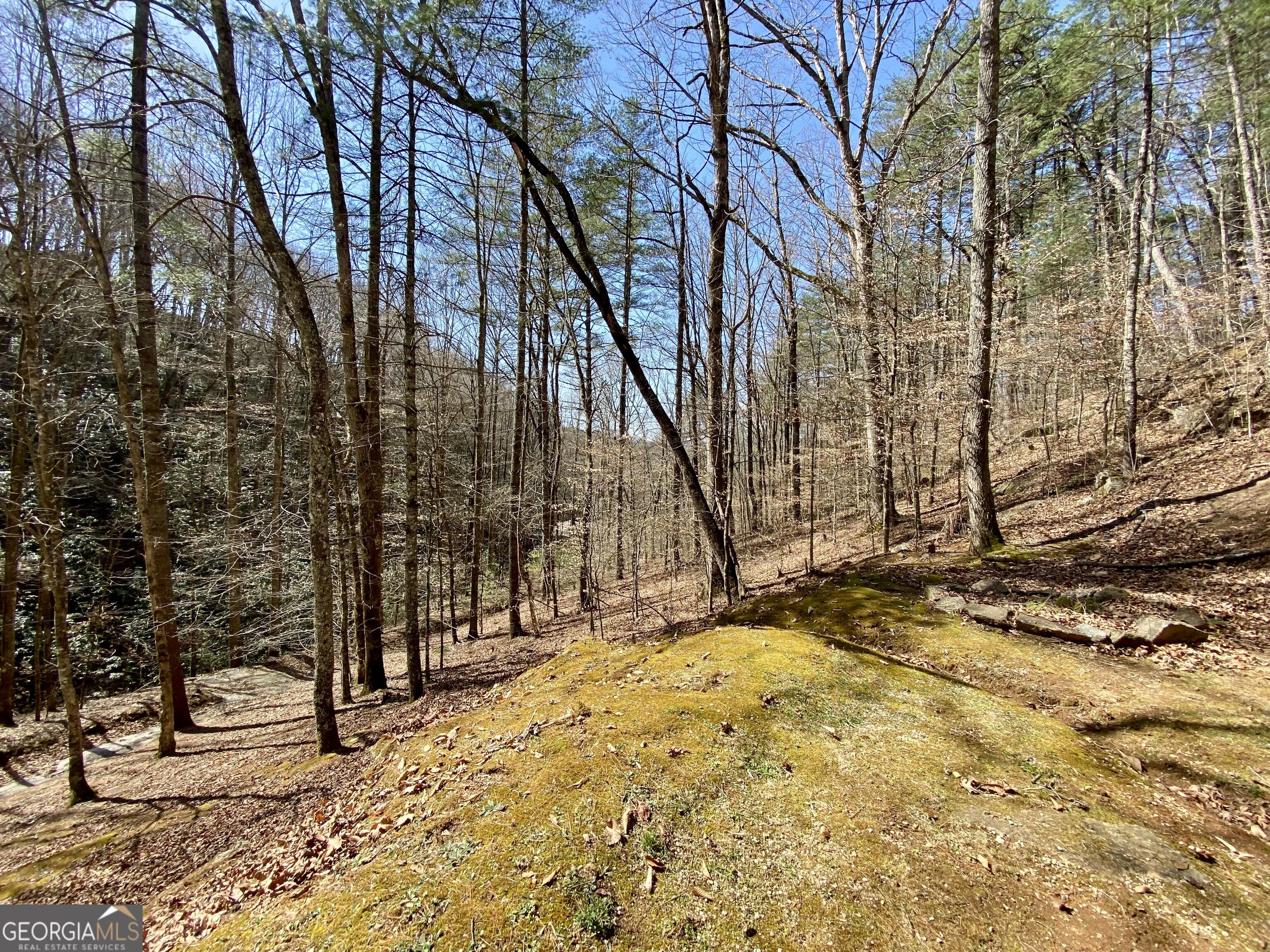 119 Cub Lane Property Photo 29