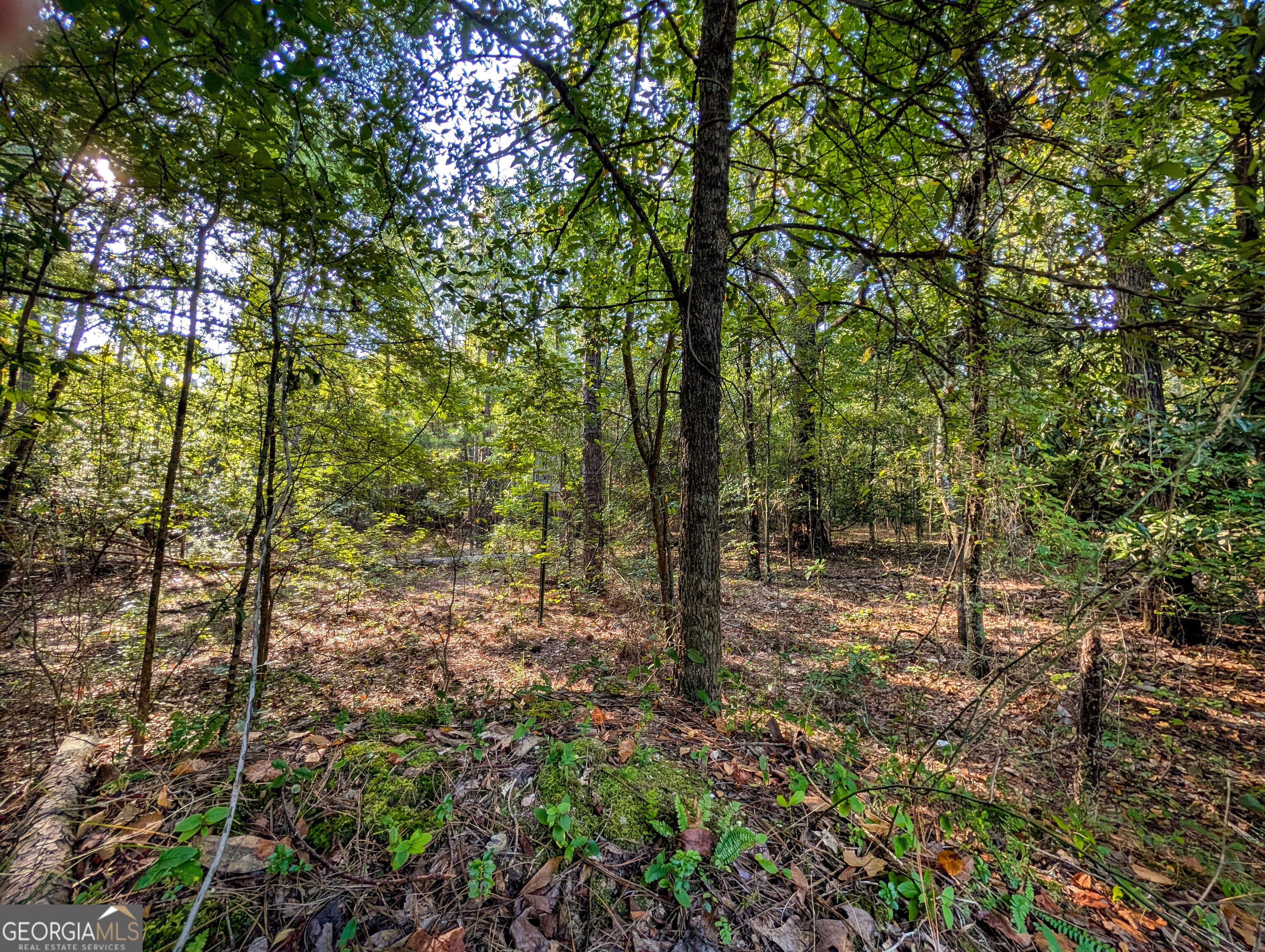 3821 Crest Drive Property Photo 8