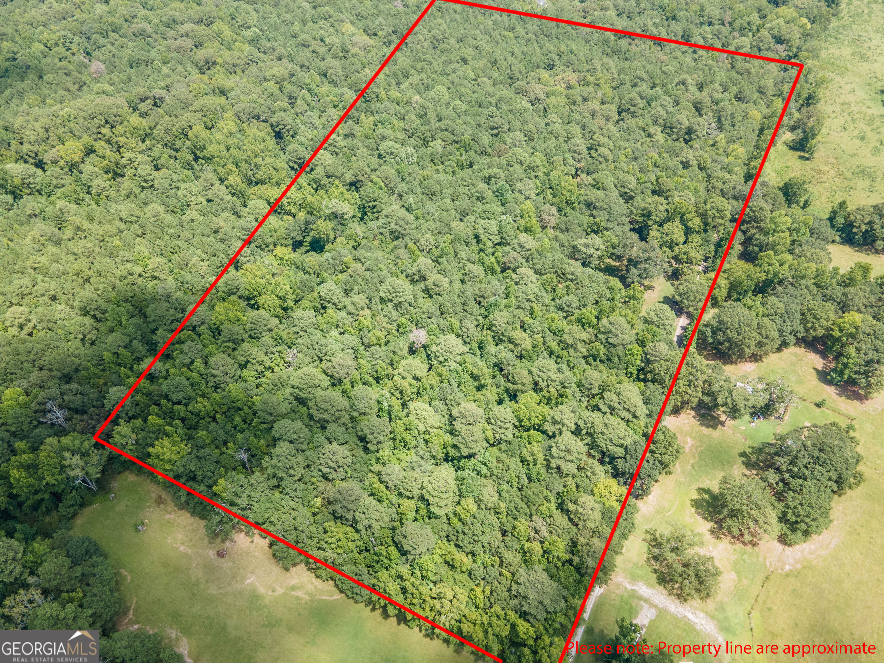 Tract 5 Chapman Road Property Photo 1