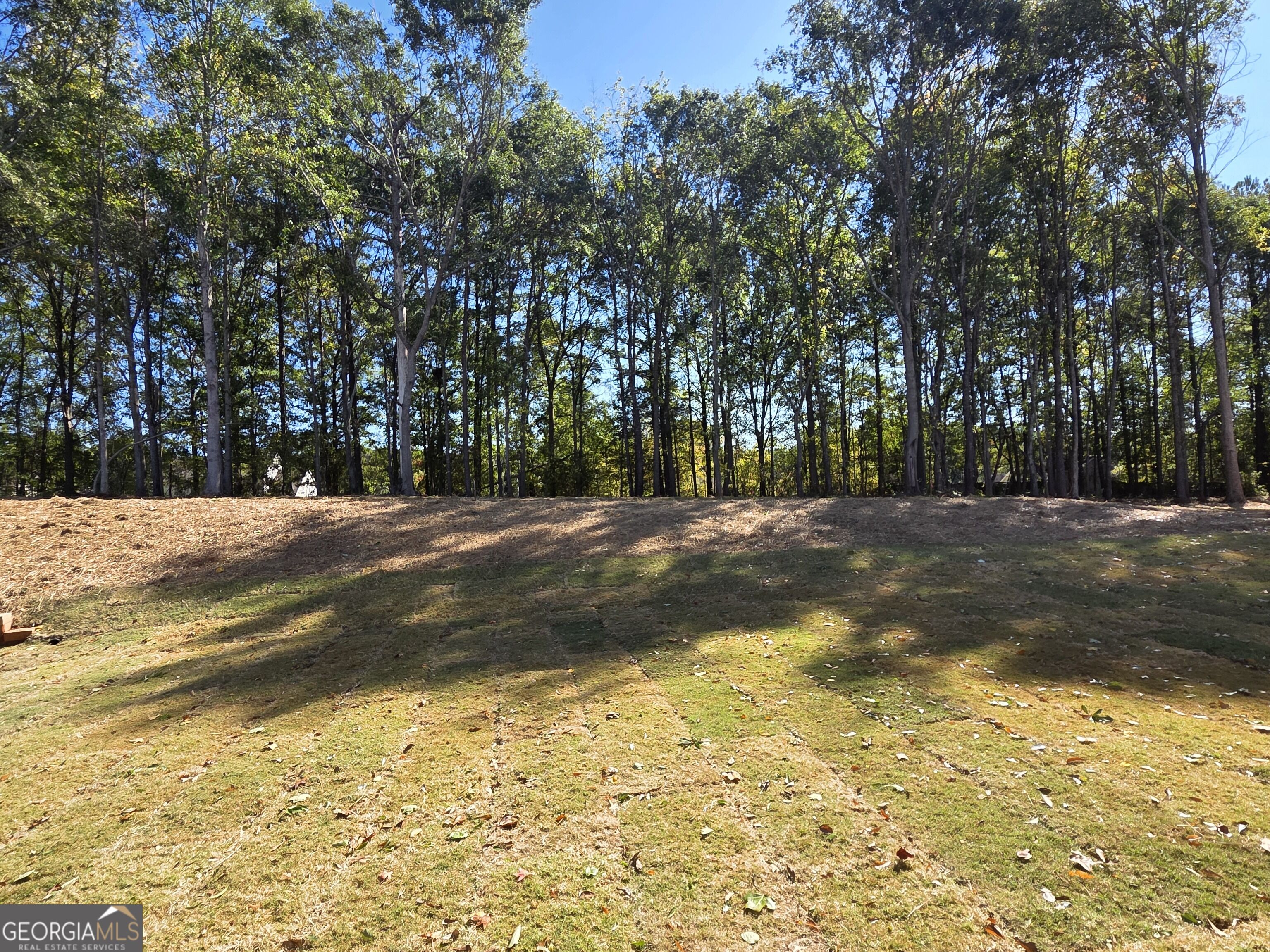 374 Meadows Drive Property Photo 43