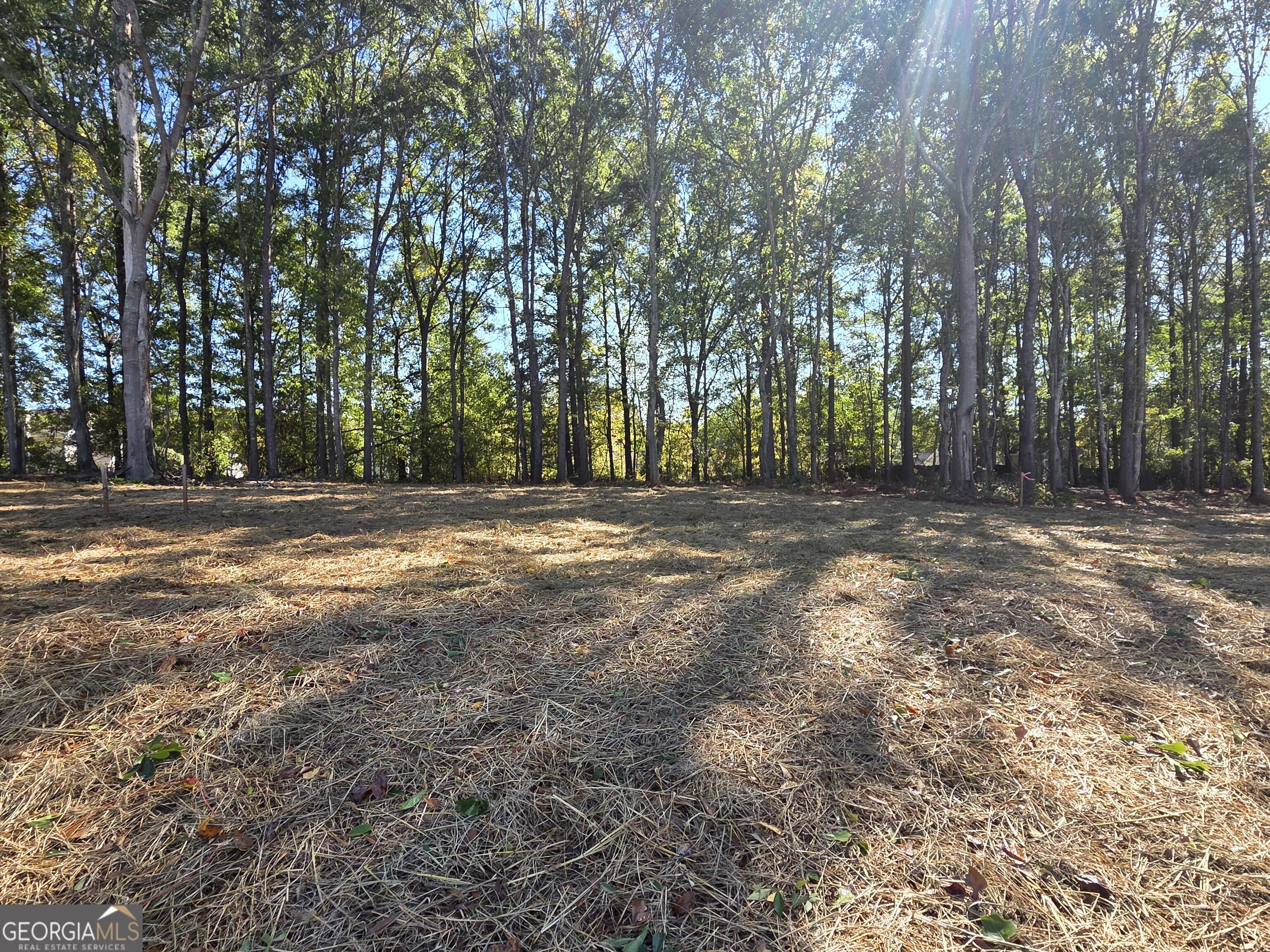 374 Meadows Drive Property Photo 44