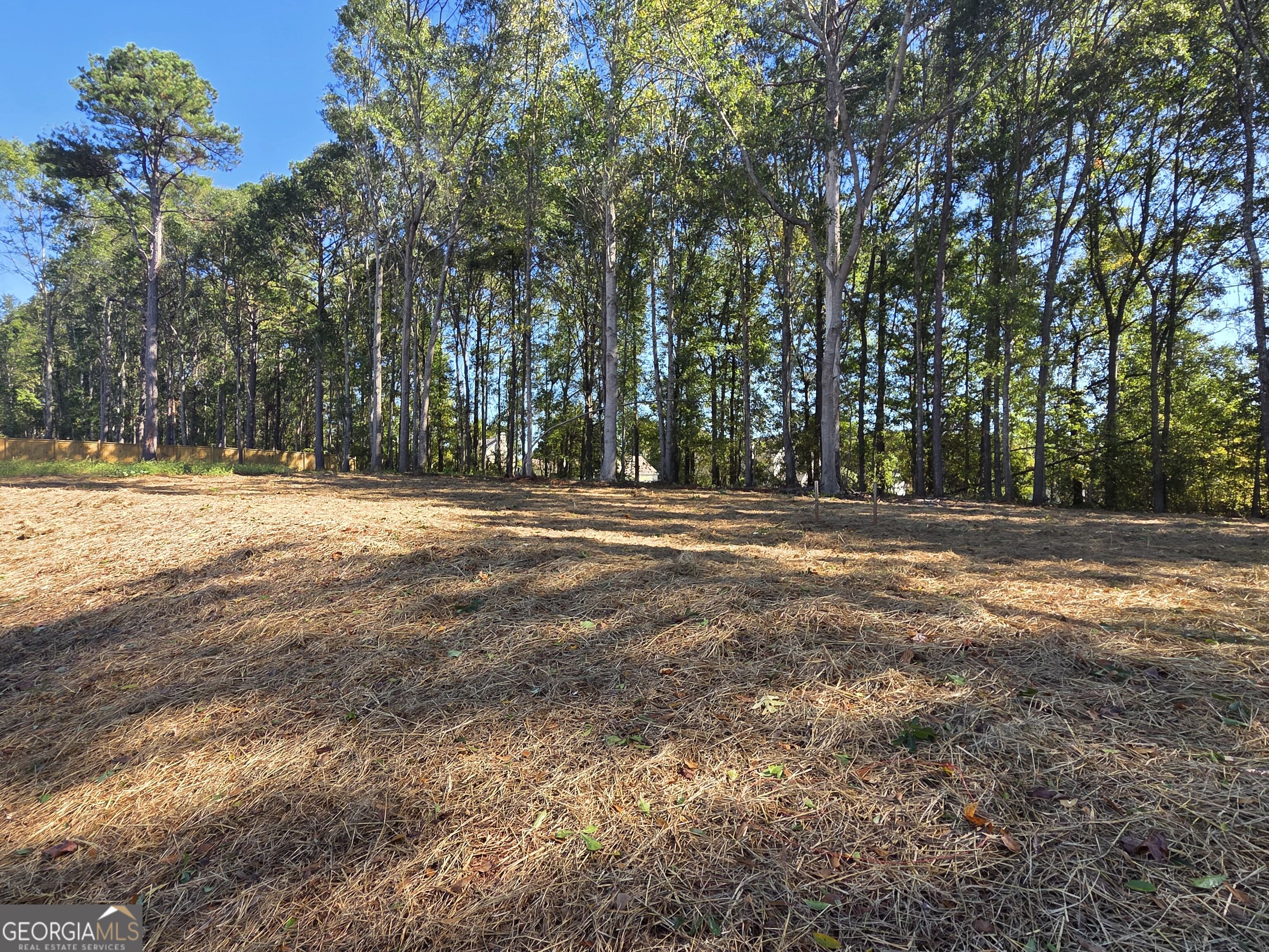 374 Meadows Drive Property Photo 45
