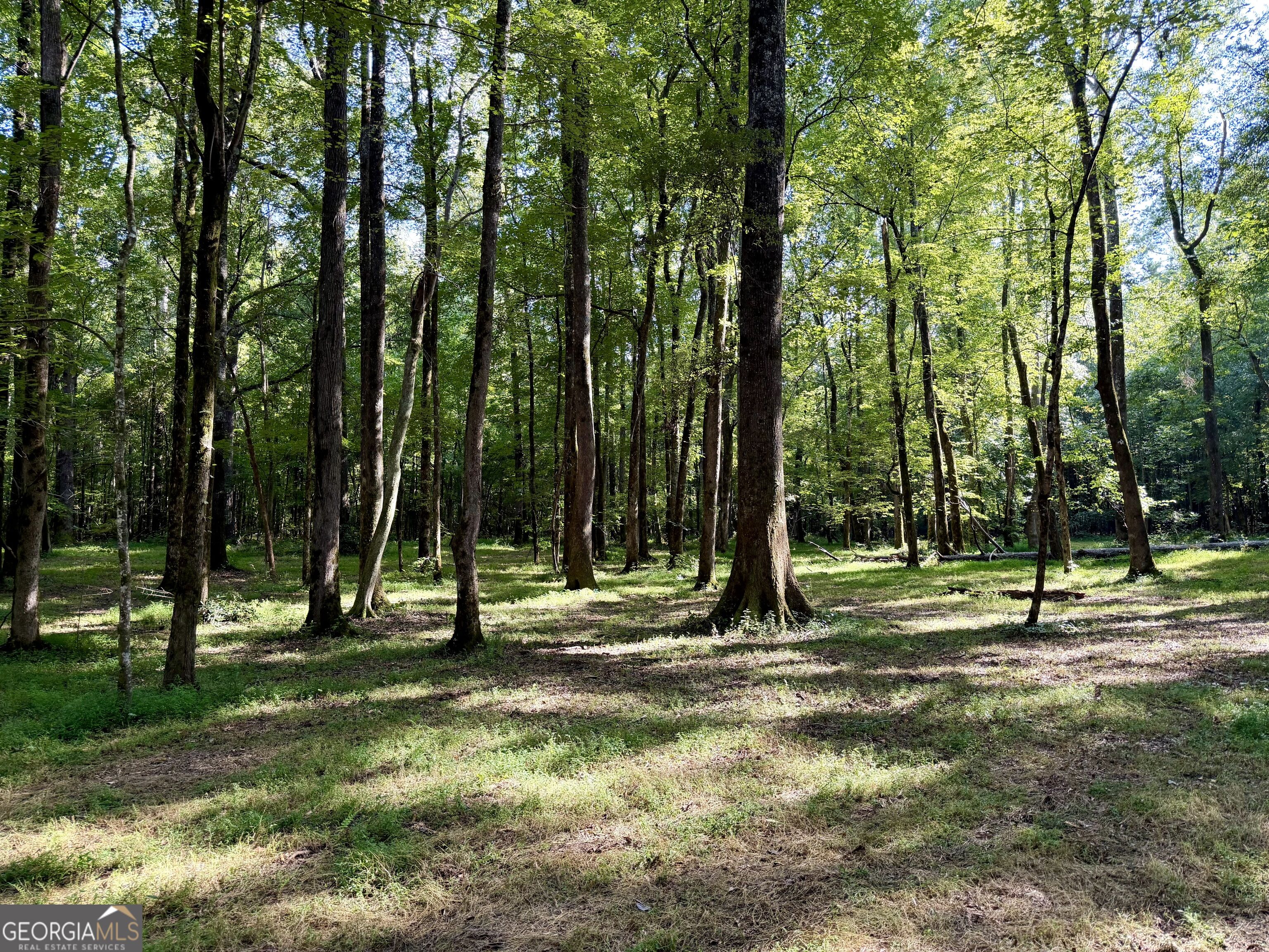 2552 Est. (trac Highway 92 South Property Photo 11
