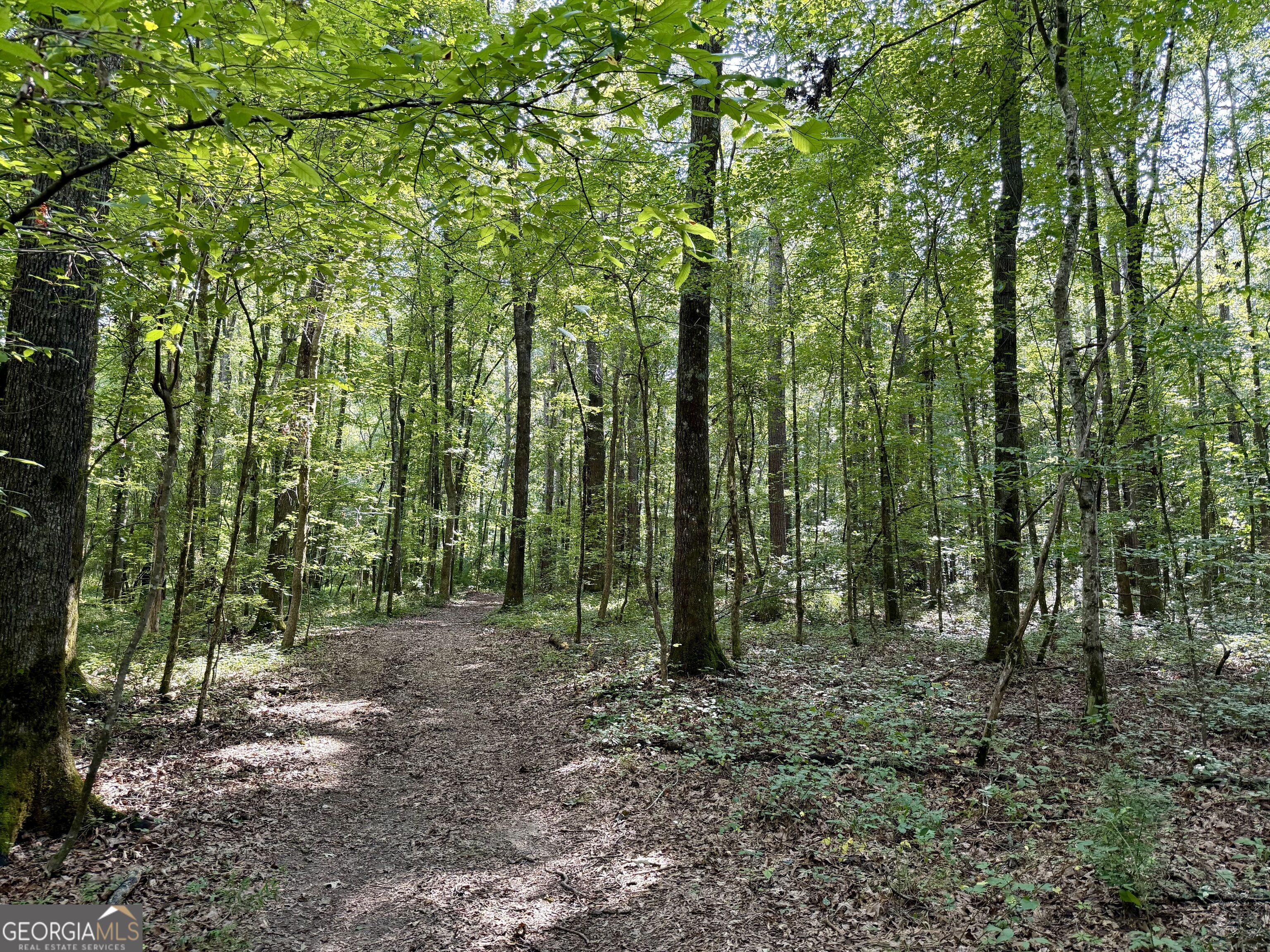2552 Est. (trac Highway 92 South Property Photo 12