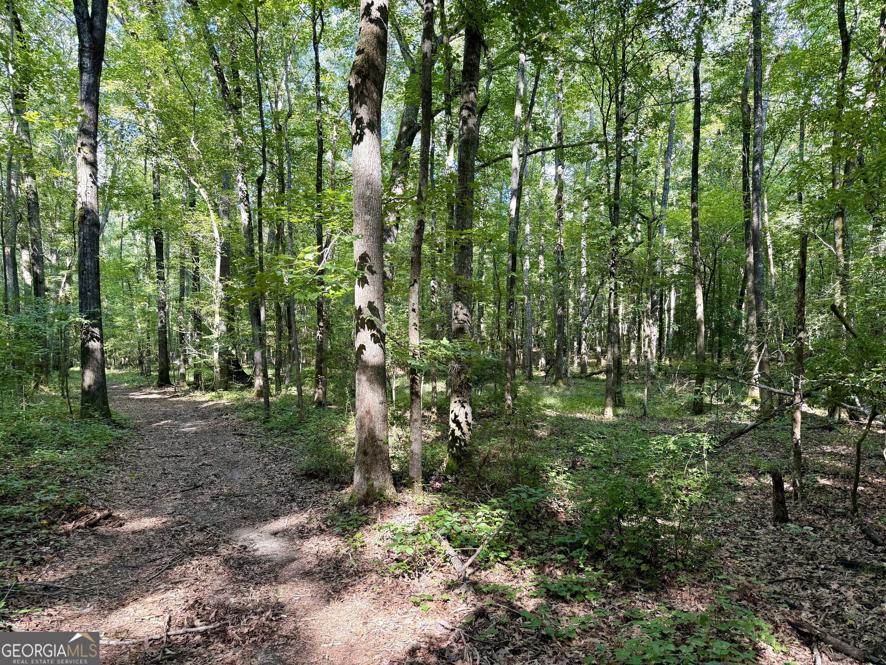 2552 Est. (trac Highway 92 South Property Photo 13