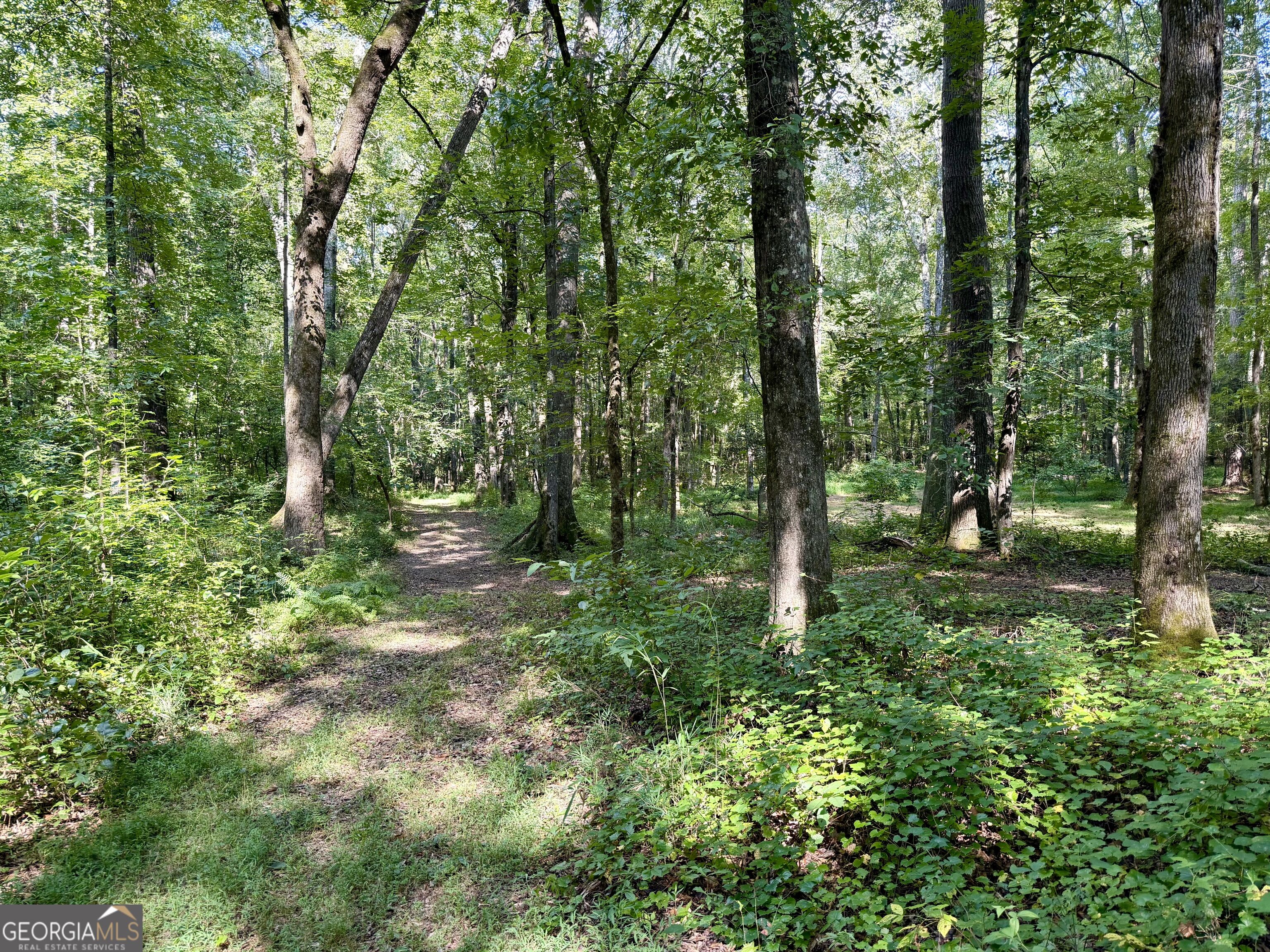 2552 Est. (trac Highway 92 South Property Photo 14