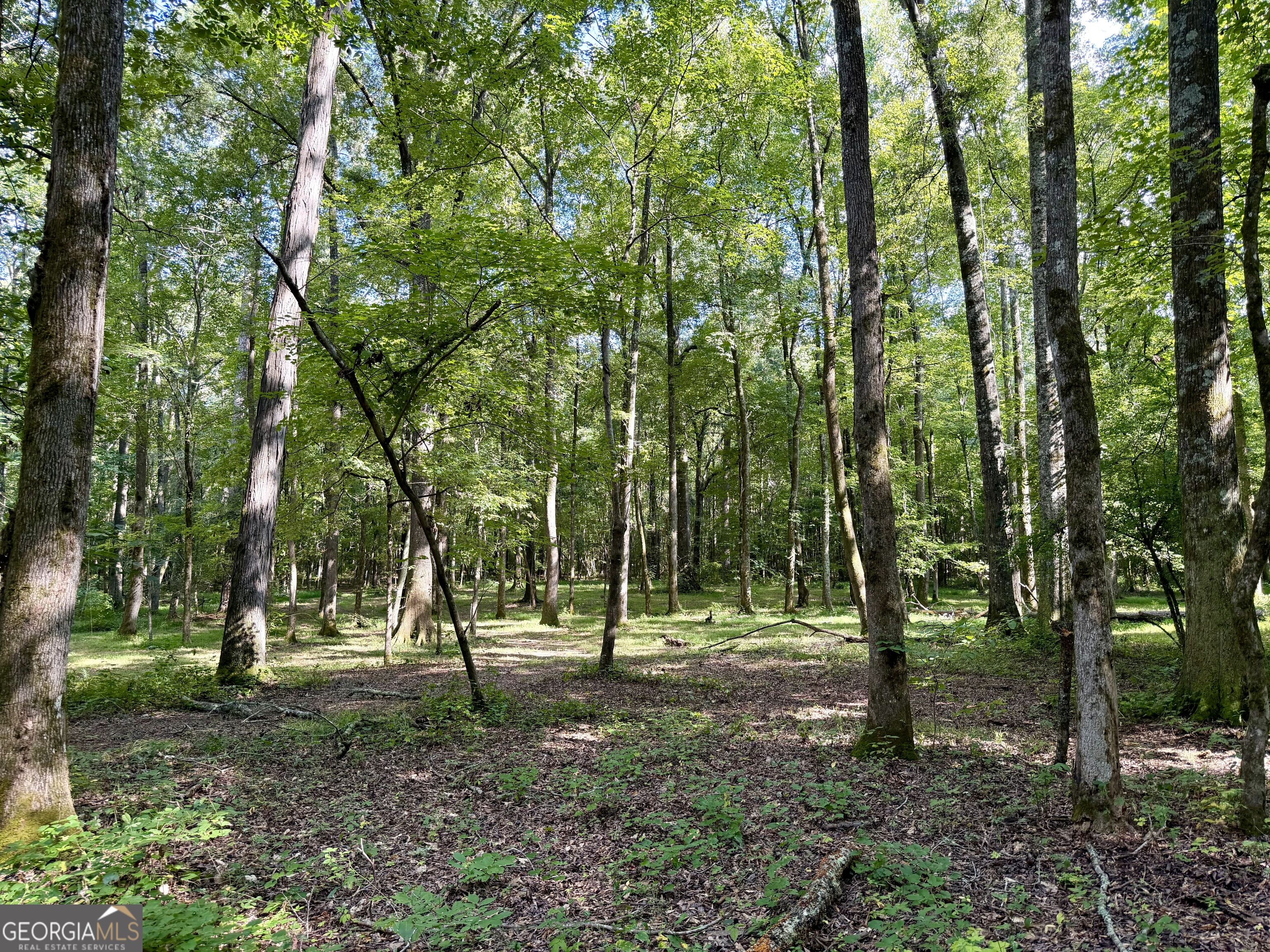 2552 Est. (trac Highway 92 South Property Photo 15