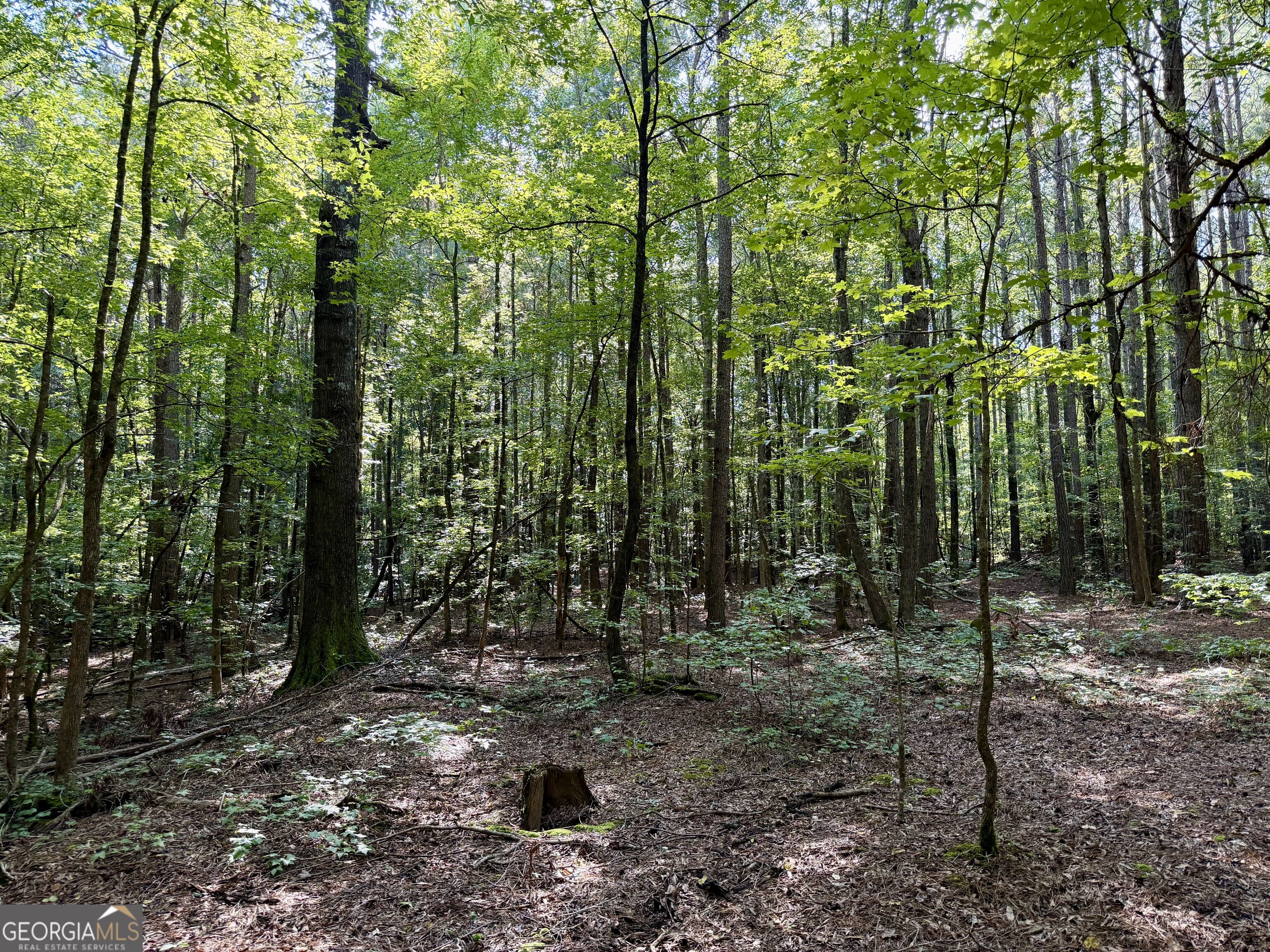 2552 Est. (trac Highway 92 South Property Photo 16