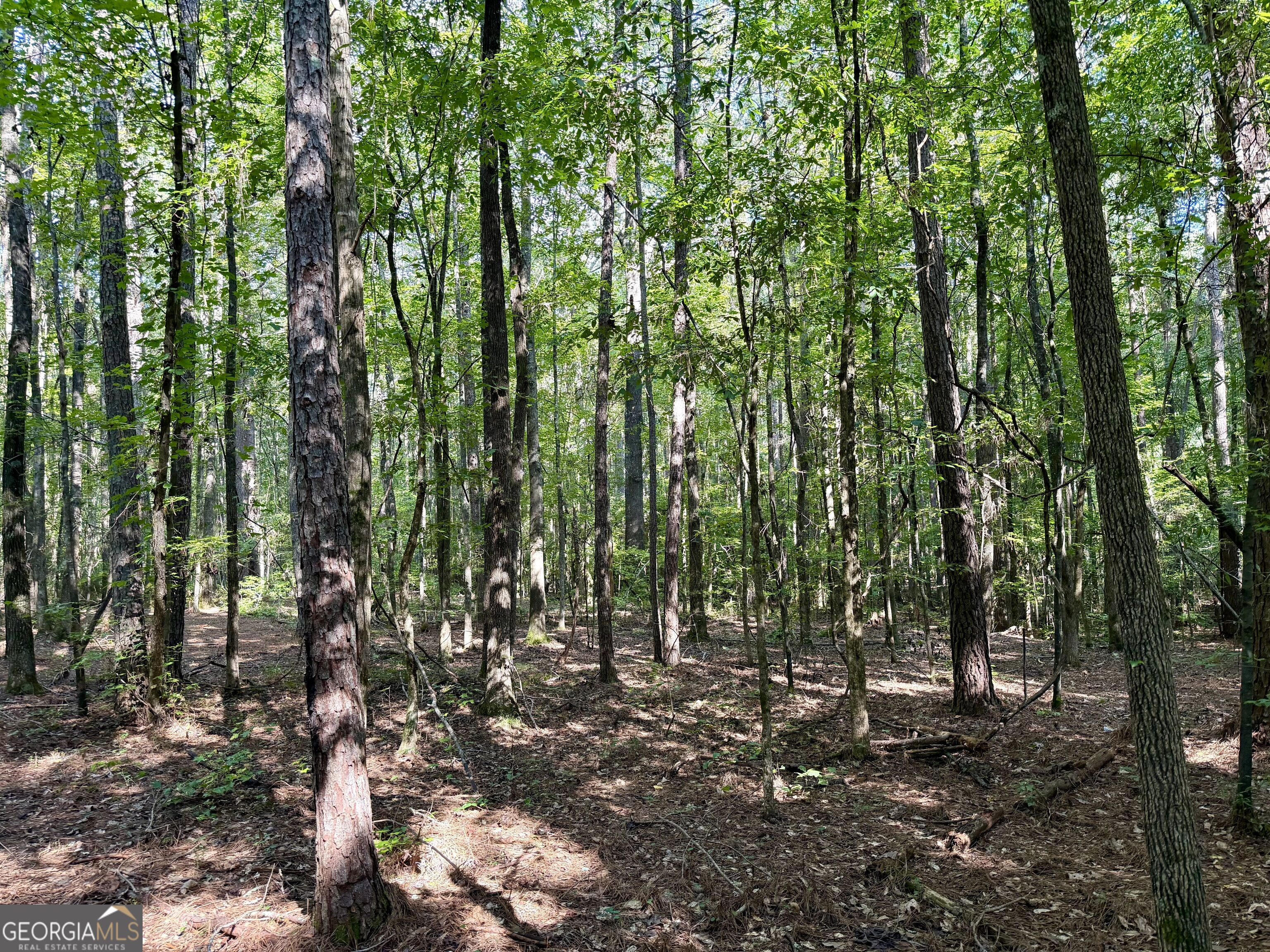 2552 Est. (trac Highway 92 South Property Photo 17