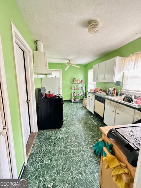83 Otis Street Property Photo 9