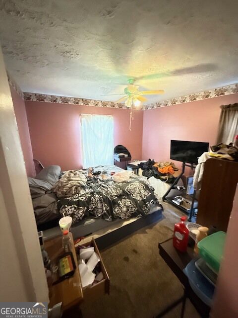 83 Otis Street Property Photo 12