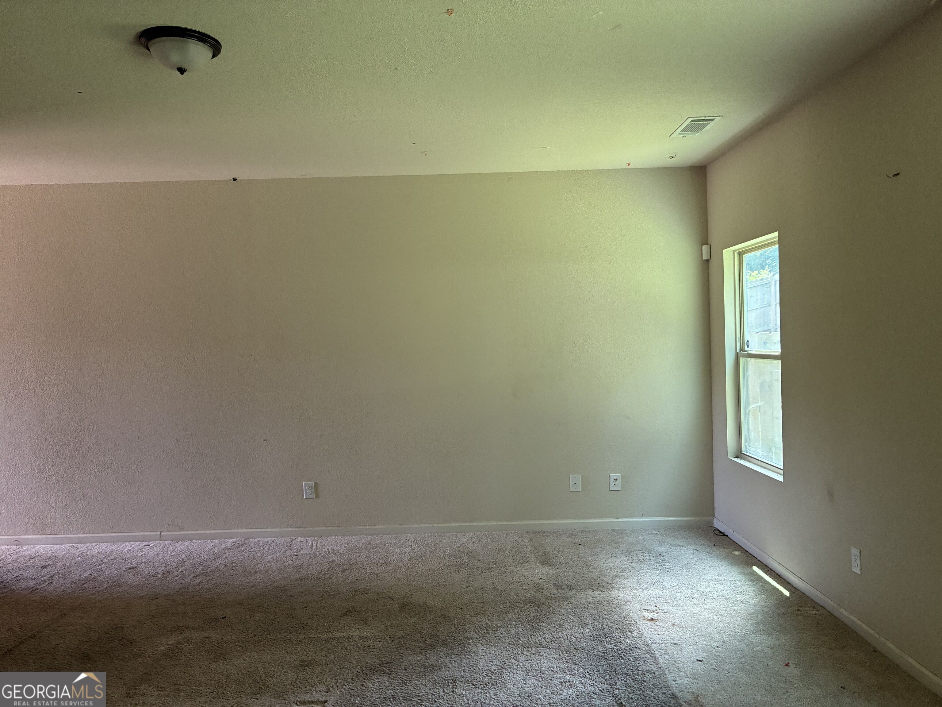 10990 Wheeler Trace Property Photo 6