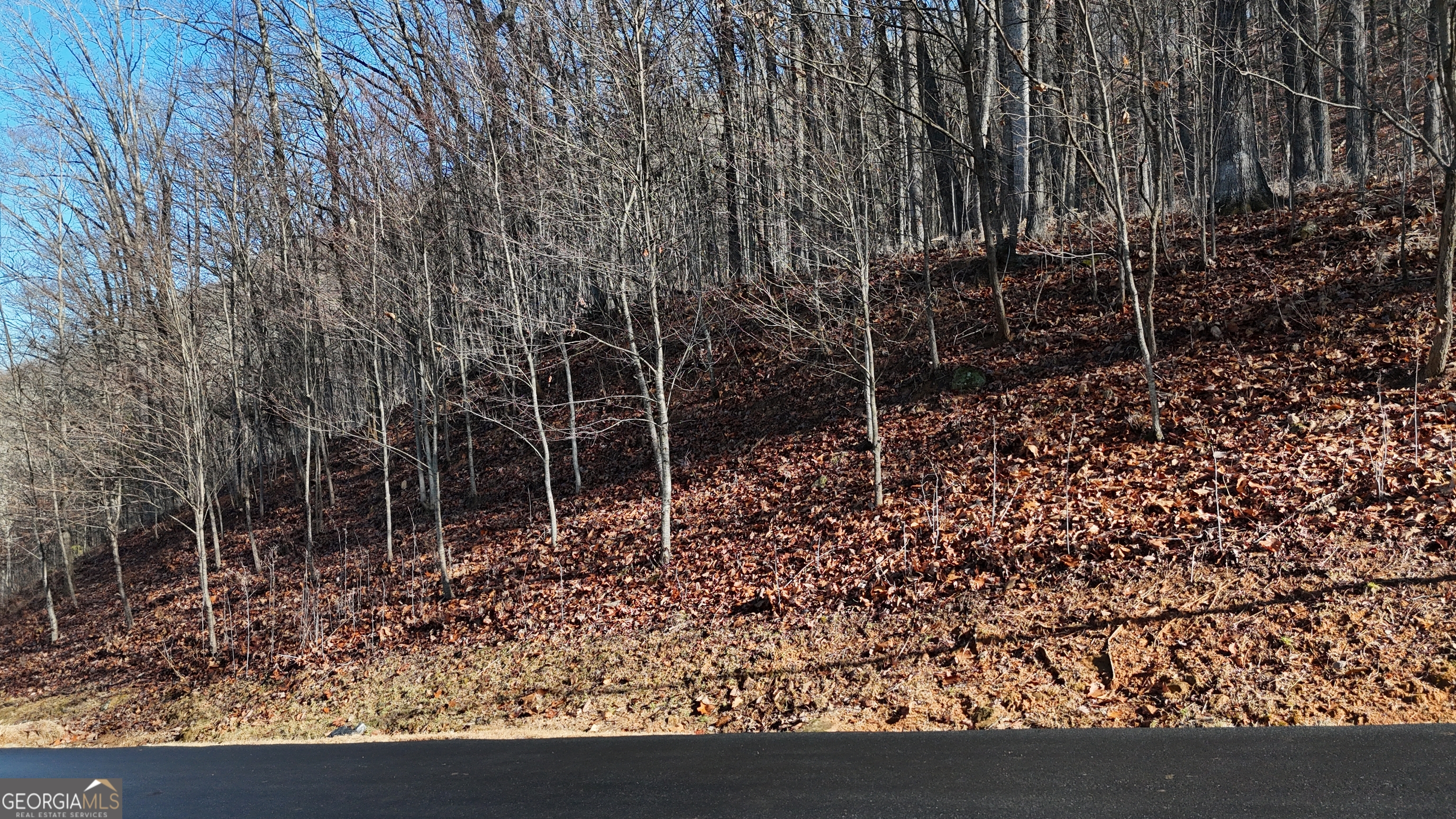 Lot 45 Mountainside Drive Property Photo 2