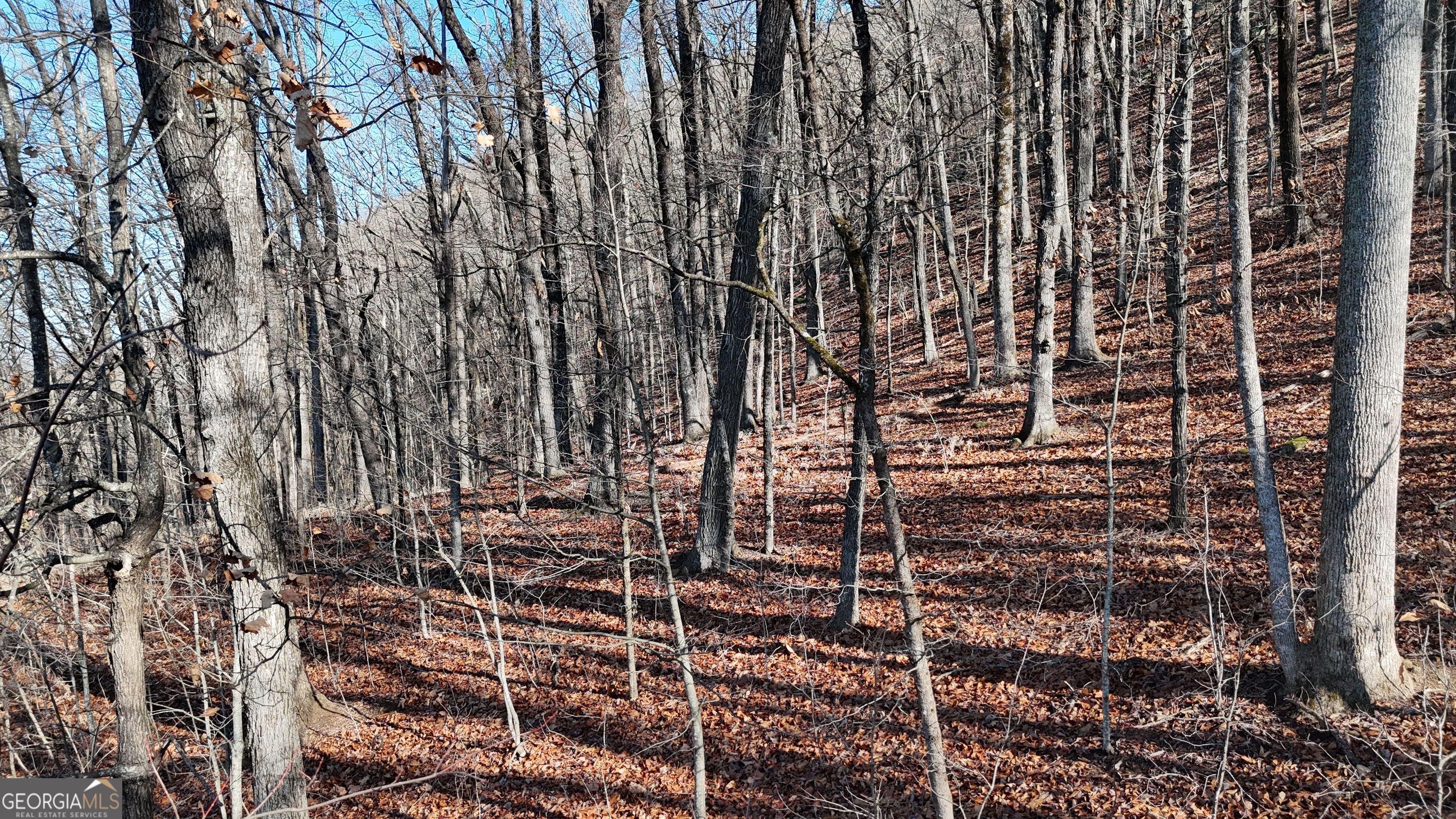 Lot 45 Mountainside Drive Property Photo 4